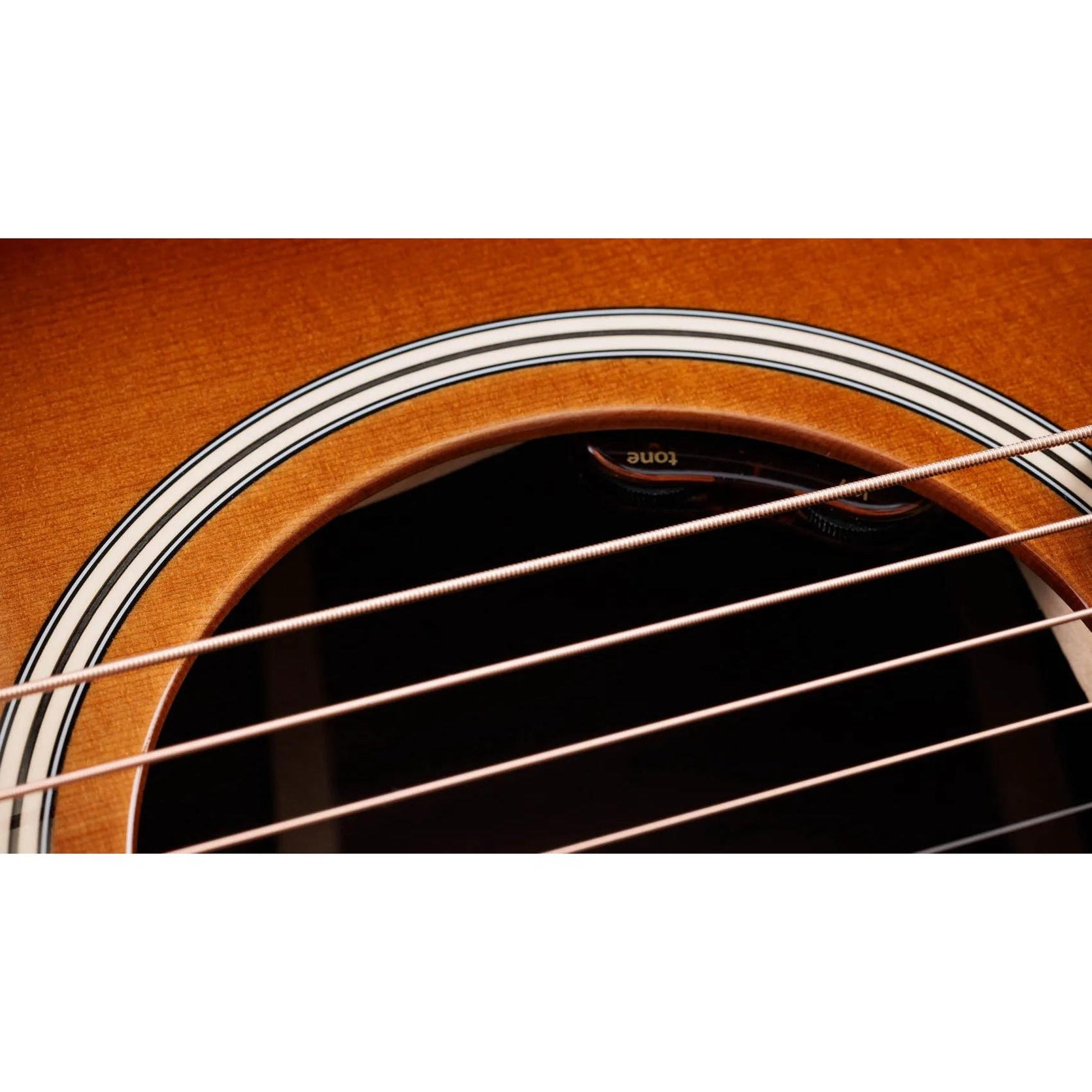 Đàn Guitar Acoustic Taylor Gold Label 710e Special Edition - Nashville Burst-Mai Nguyên Music