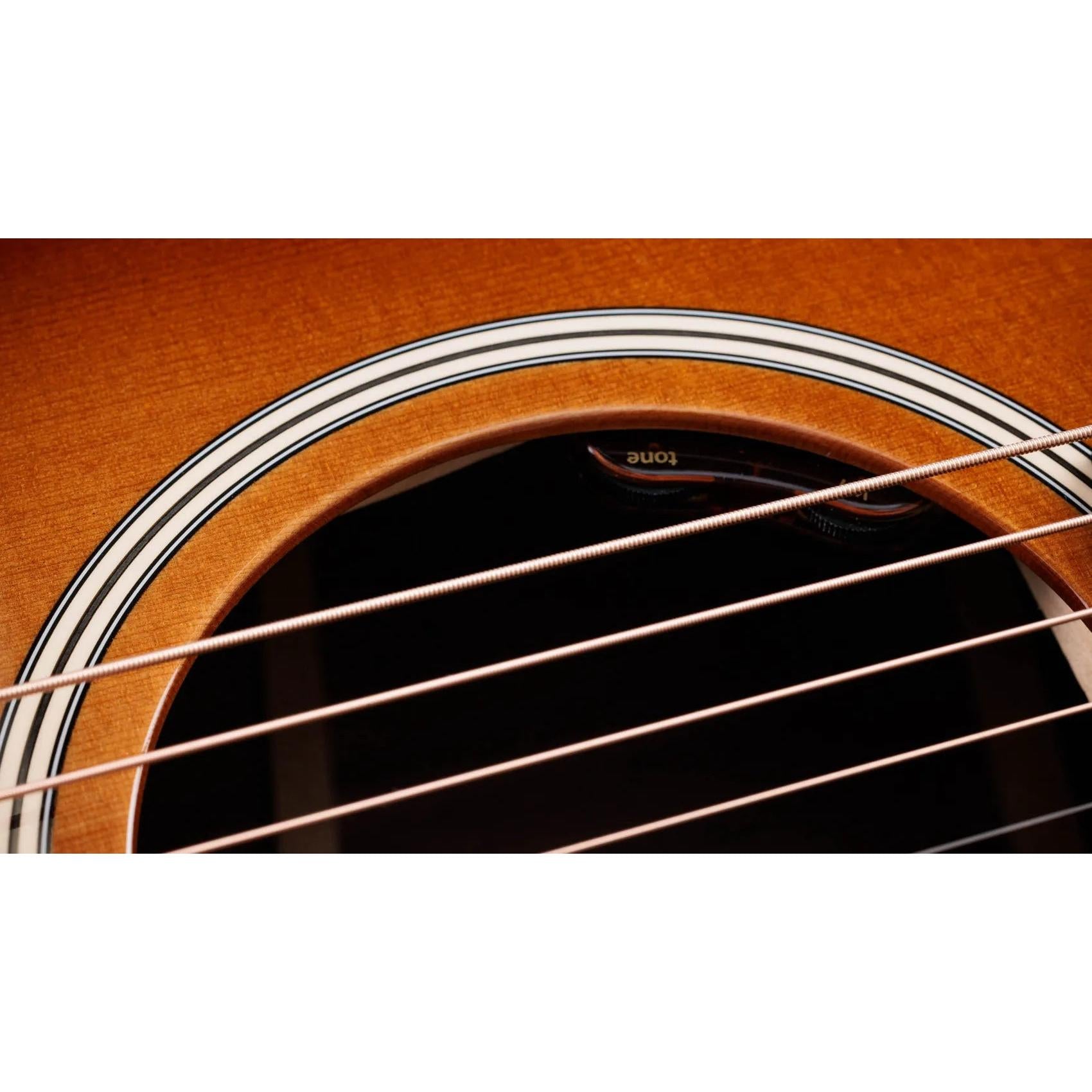 Đàn Guitar Acoustic Taylor Gold Label 710e Special Edition - Nashville Burst-Mai Nguyên Music