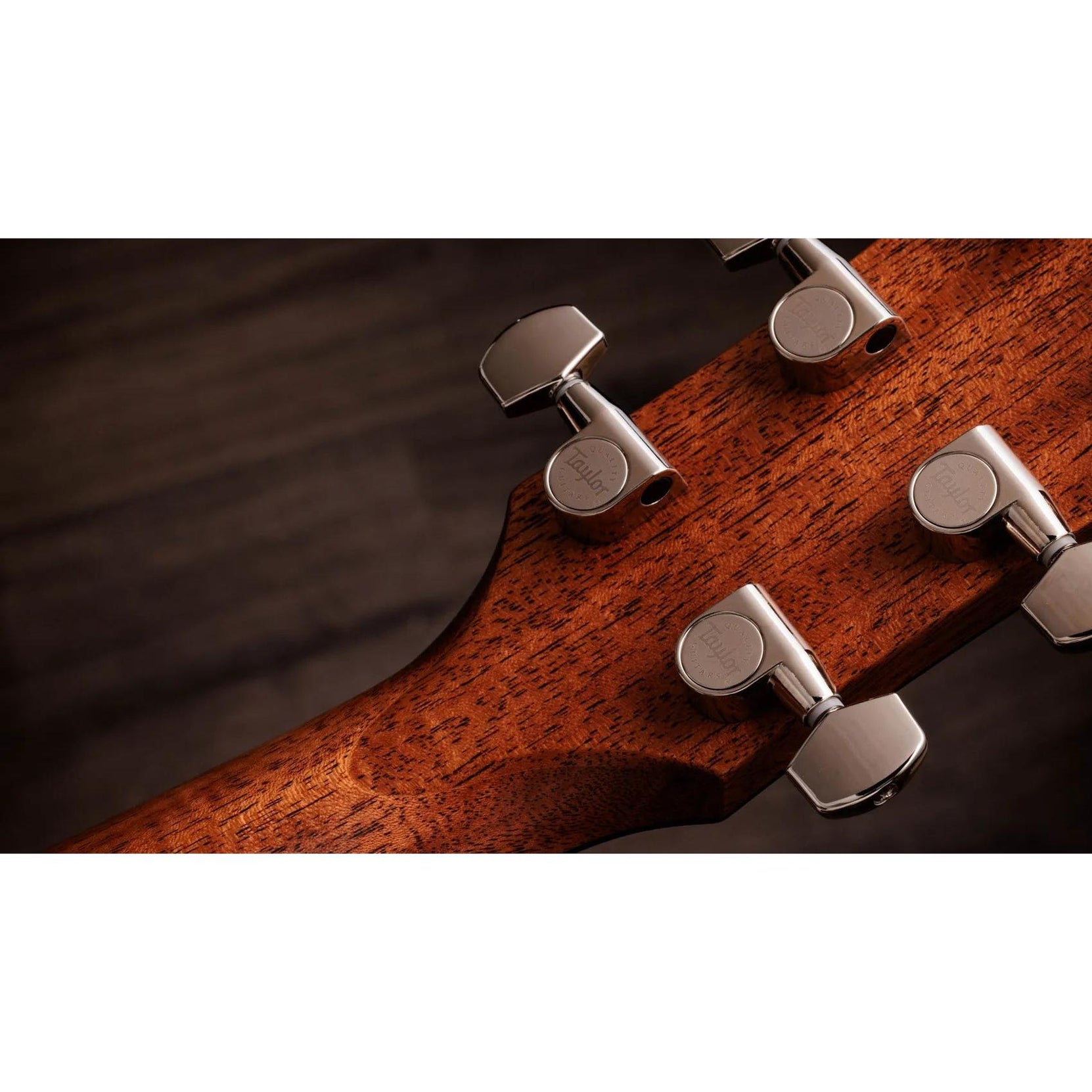 Đàn Guitar Acoustic Taylor Gold Label 714e-Mai Nguyên Music