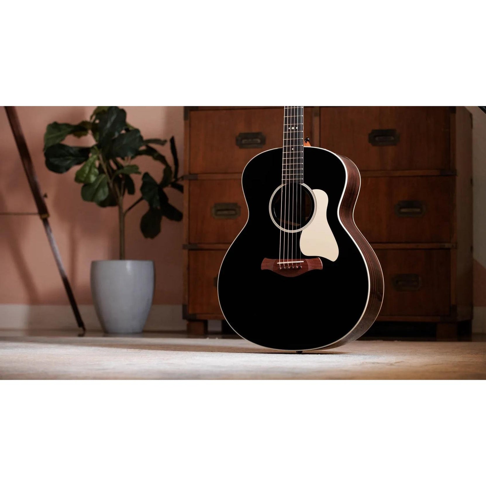 Đàn Guitar Acoustic Taylor Gold Label 714e-Mai Nguyên Music