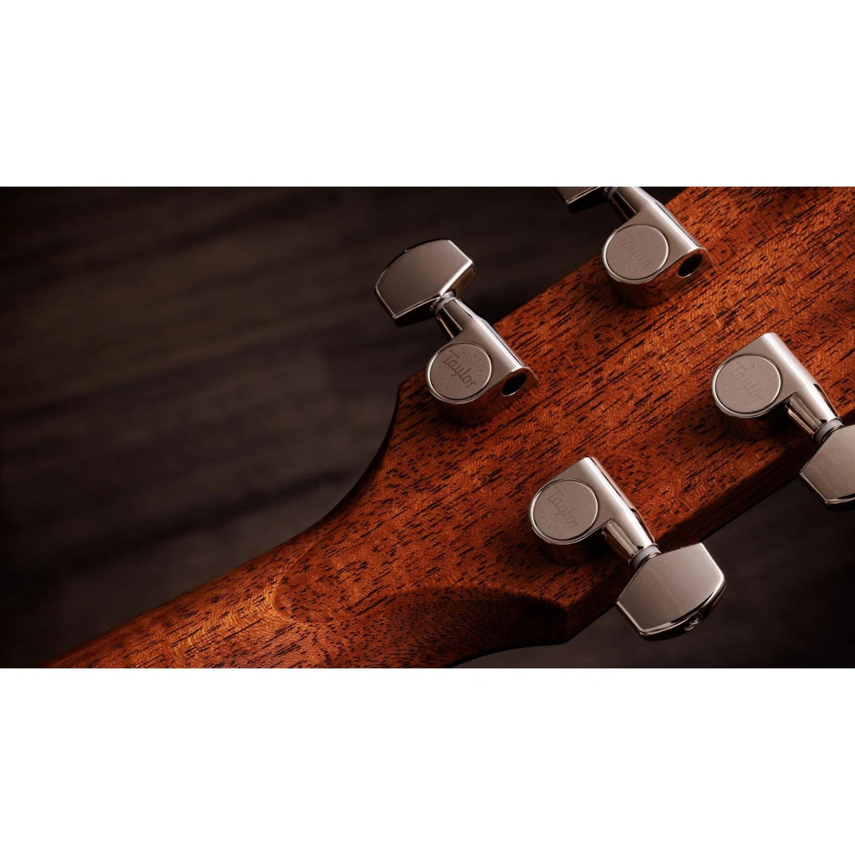 Đàn Guitar Acoustic Taylor Gold Label 714e-Mai Nguyên Music