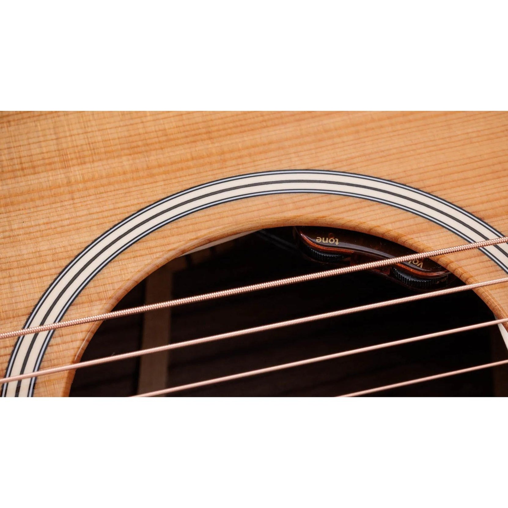 Đàn Guitar Acoustic Taylor Gold Label 714e-Mai Nguyên Music