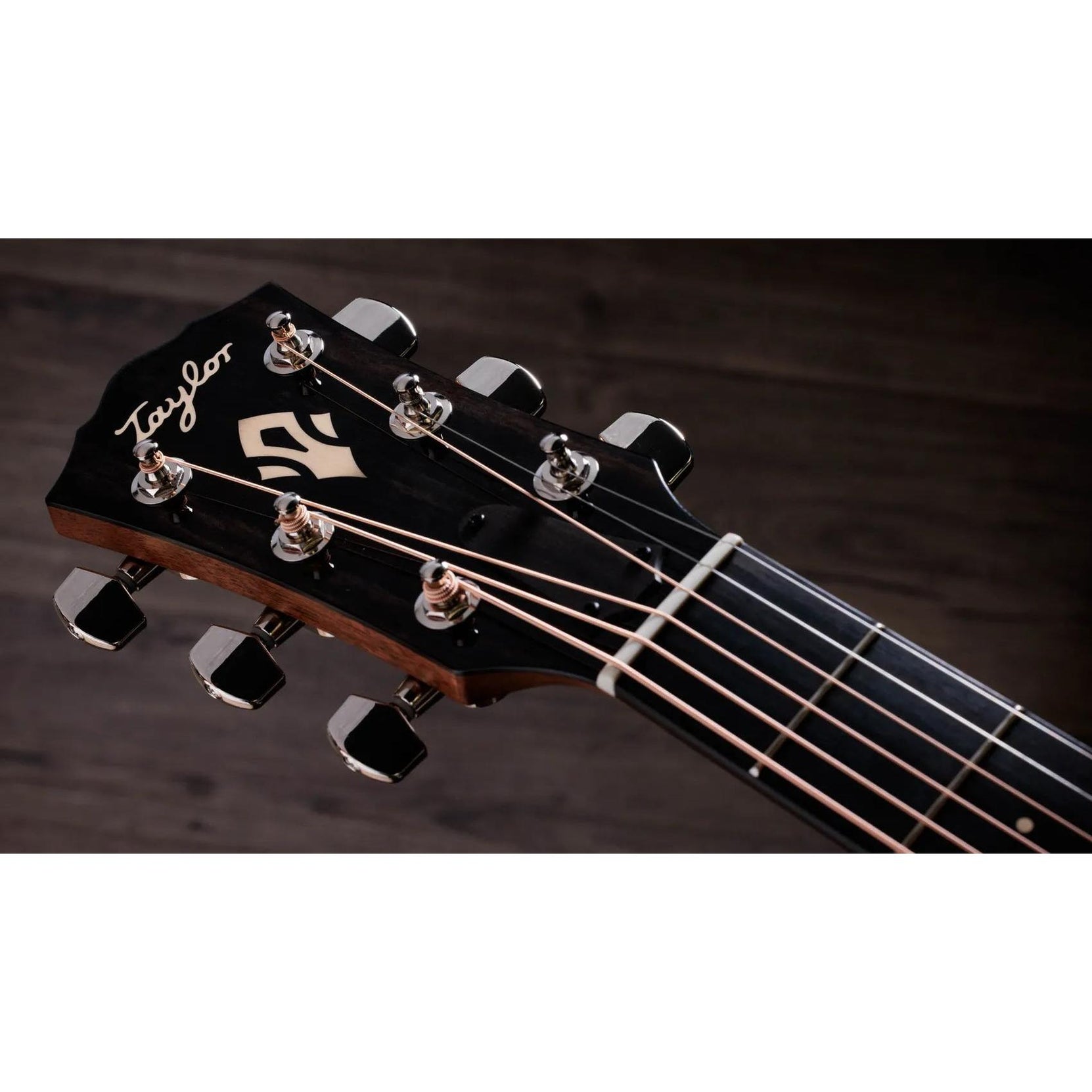 Đàn Guitar Acoustic Taylor Gold Label 714e-Mai Nguyên Music