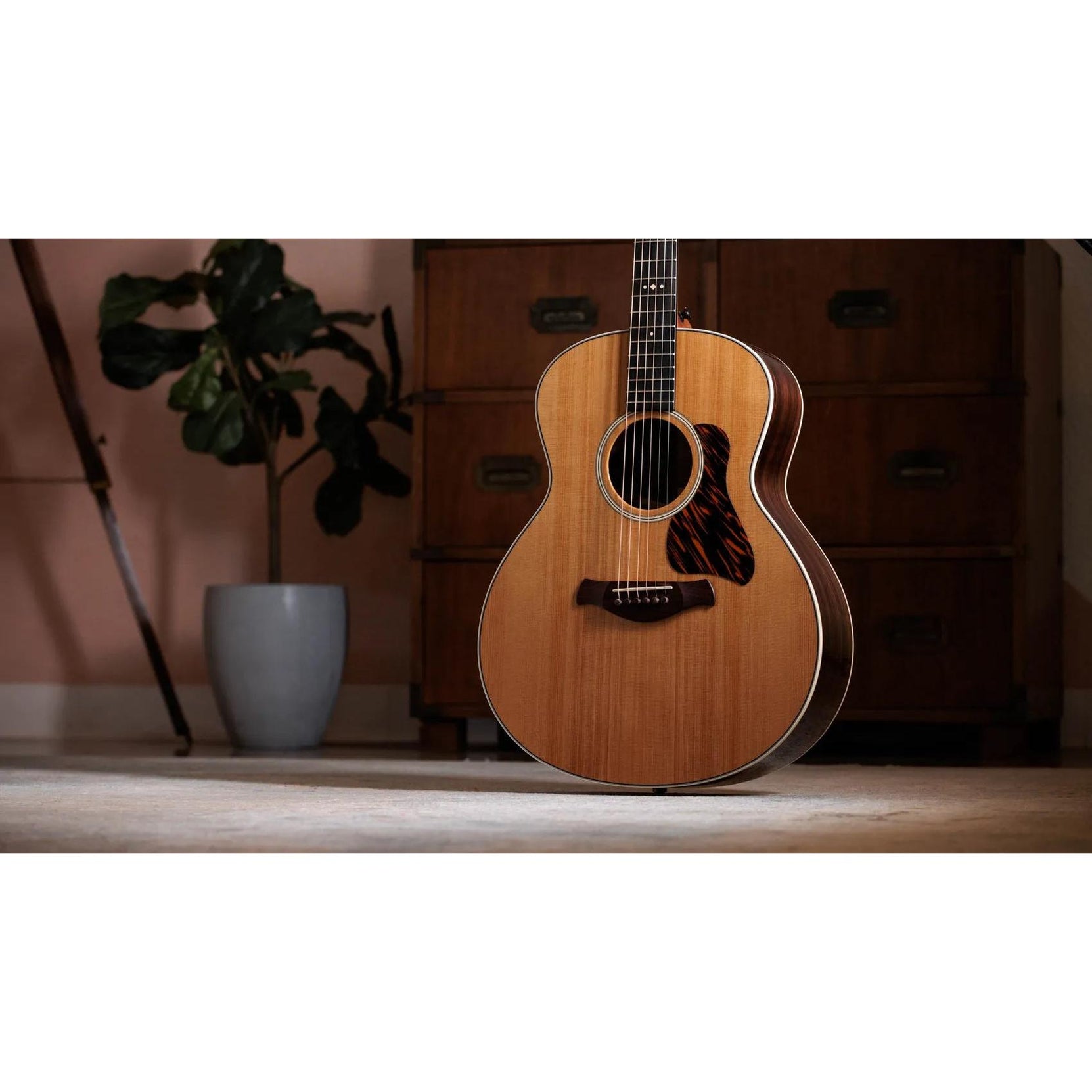 Đàn Guitar Acoustic Taylor Gold Label 714e-Mai Nguyên Music