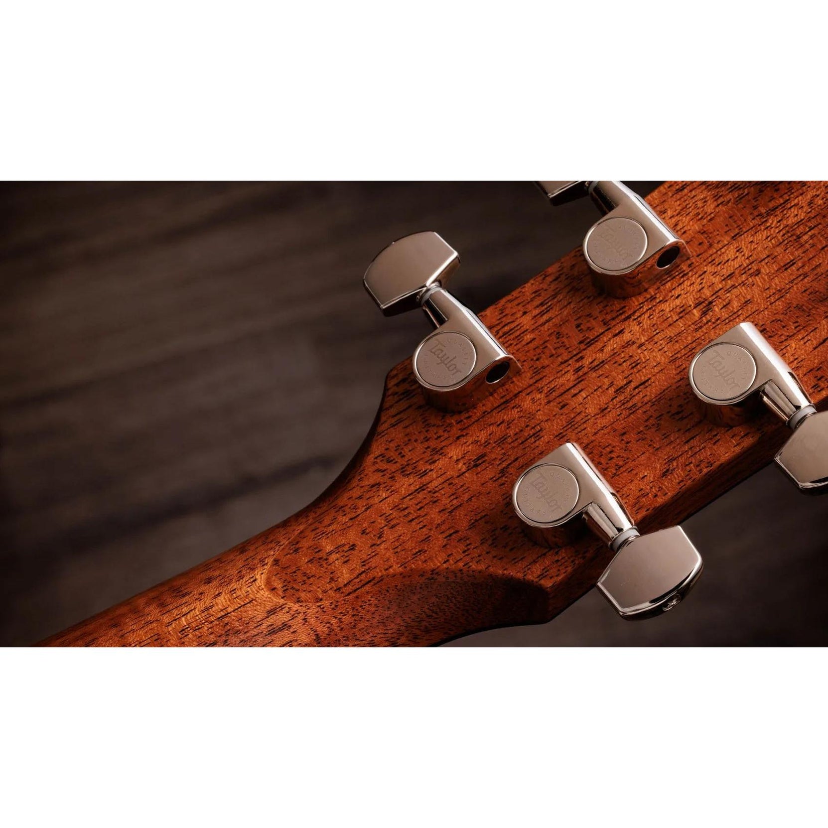 Đàn Guitar Acoustic Taylor Gold Label 714e-Mai Nguyên Music