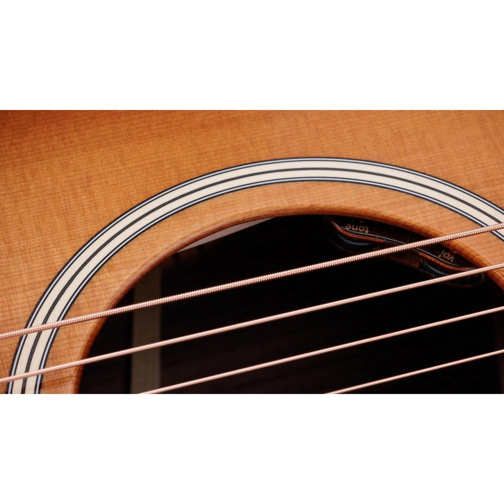 Đàn Guitar Acoustic Taylor Gold Label 714e-Mai Nguyên Music