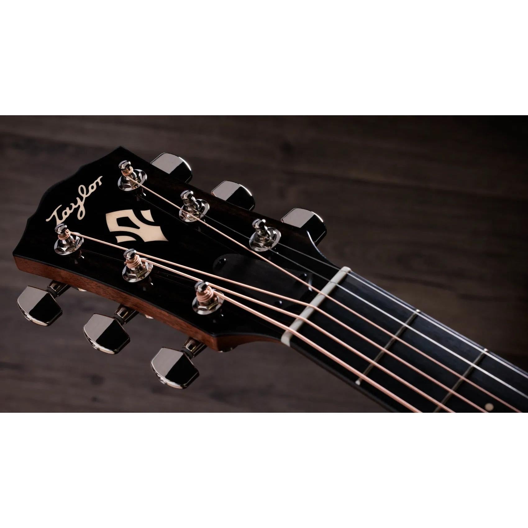 Đàn Guitar Acoustic Taylor Gold Label 714e-Mai Nguyên Music
