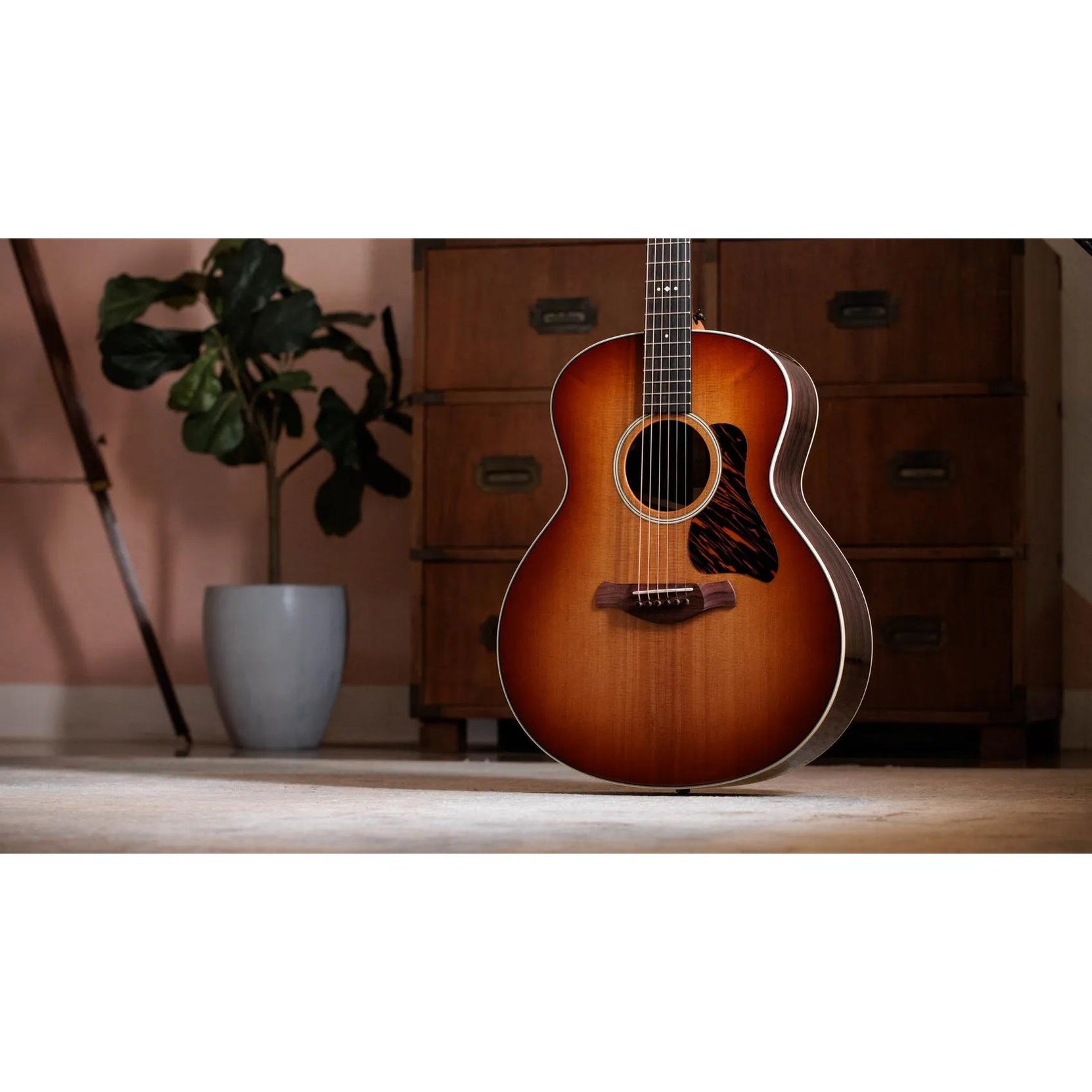 Đàn Guitar Acoustic Taylor Gold Label 714e-Mai Nguyên Music
