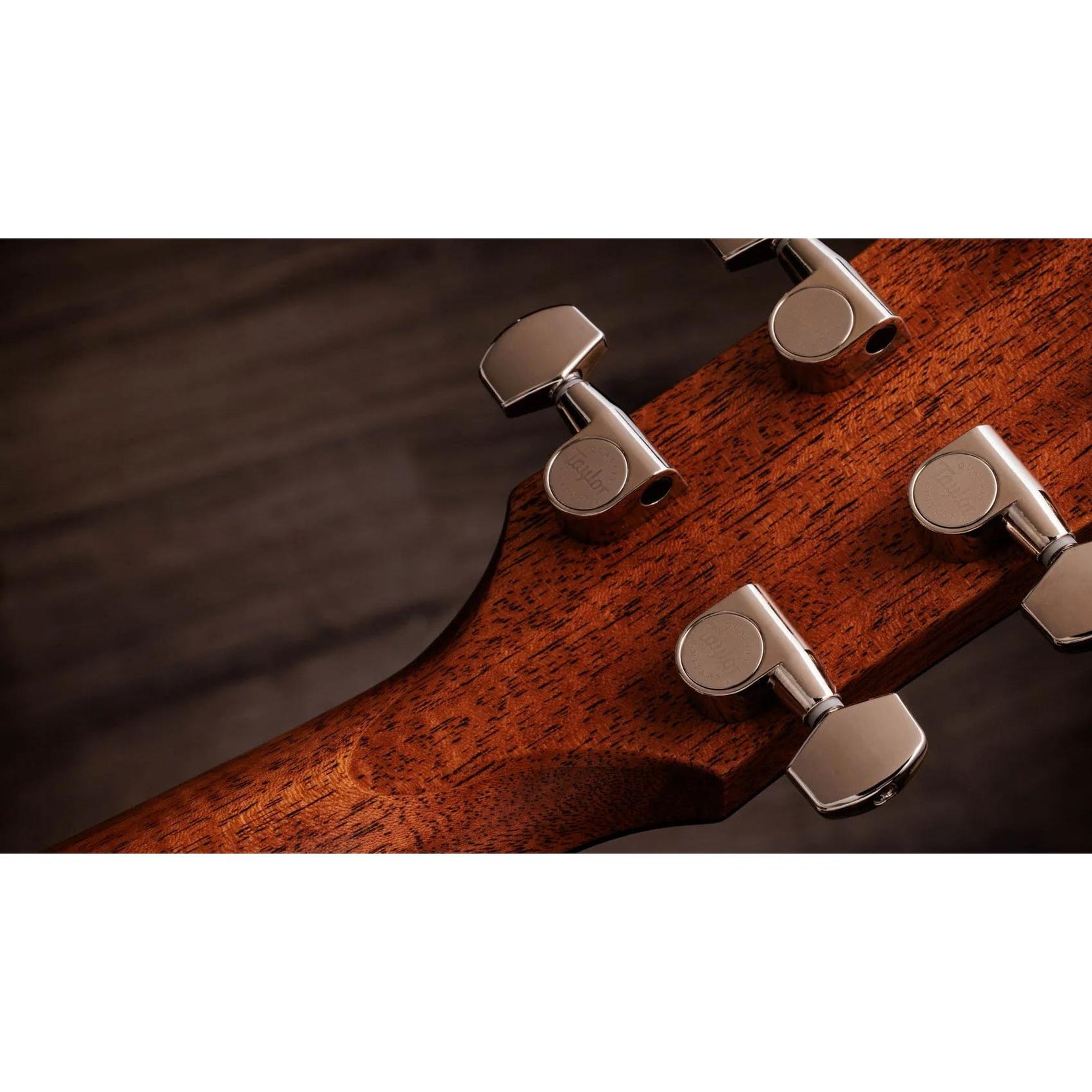 Đàn Guitar Acoustic Taylor Gold Label 714e-Mai Nguyên Music
