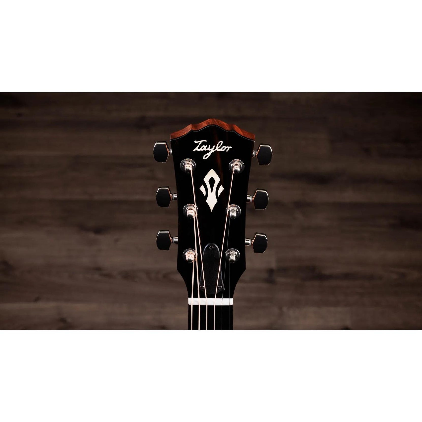 Đàn Guitar Acoustic Taylor Gold Label 714e-Mai Nguyên Music