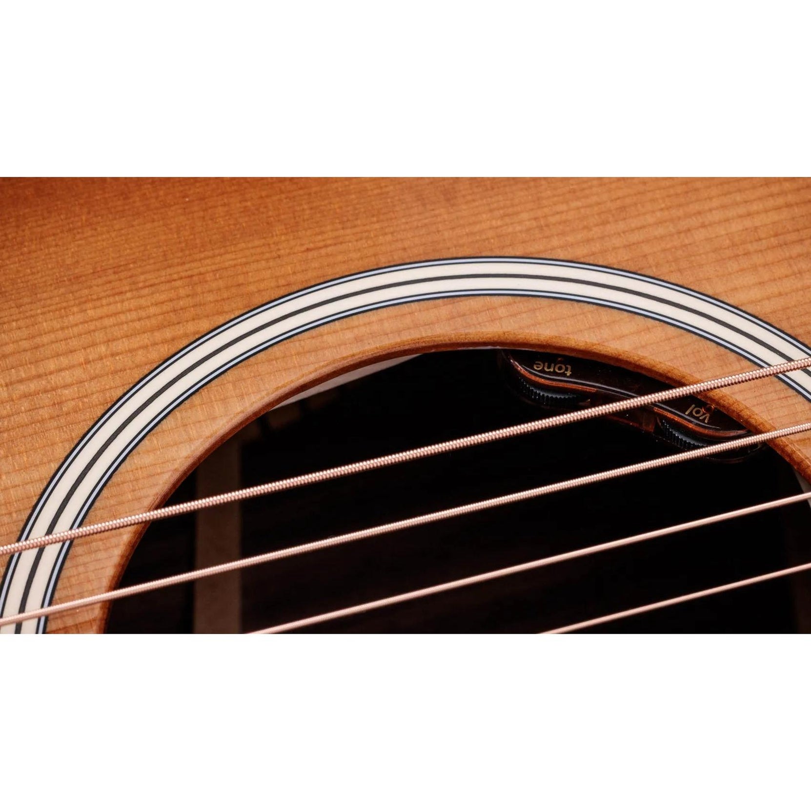 Đàn Guitar Acoustic Taylor Gold Label 714e-Mai Nguyên Music