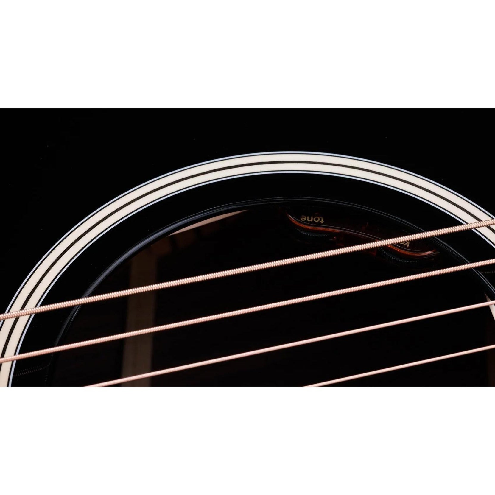 Đàn Guitar Acoustic Taylor Gold Label 714e-Mai Nguyên Music