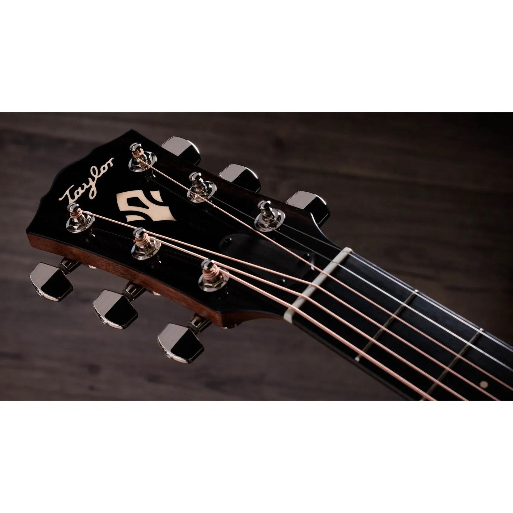 Đàn Guitar Acoustic Taylor Gold Label 714e-Mai Nguyên Music