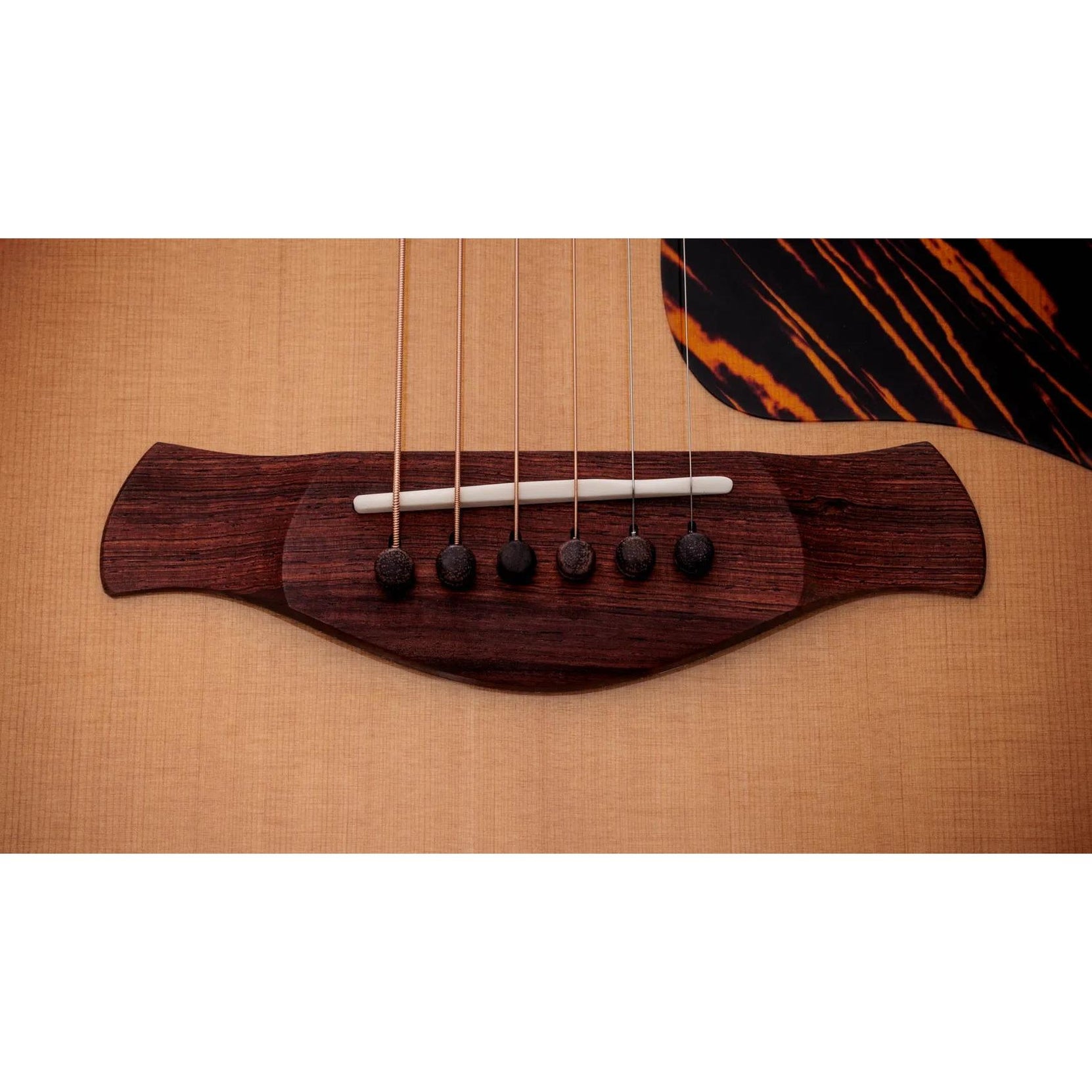 Đàn Guitar Acoustic Taylor Gold Label 717e-Mai Nguyên Music
