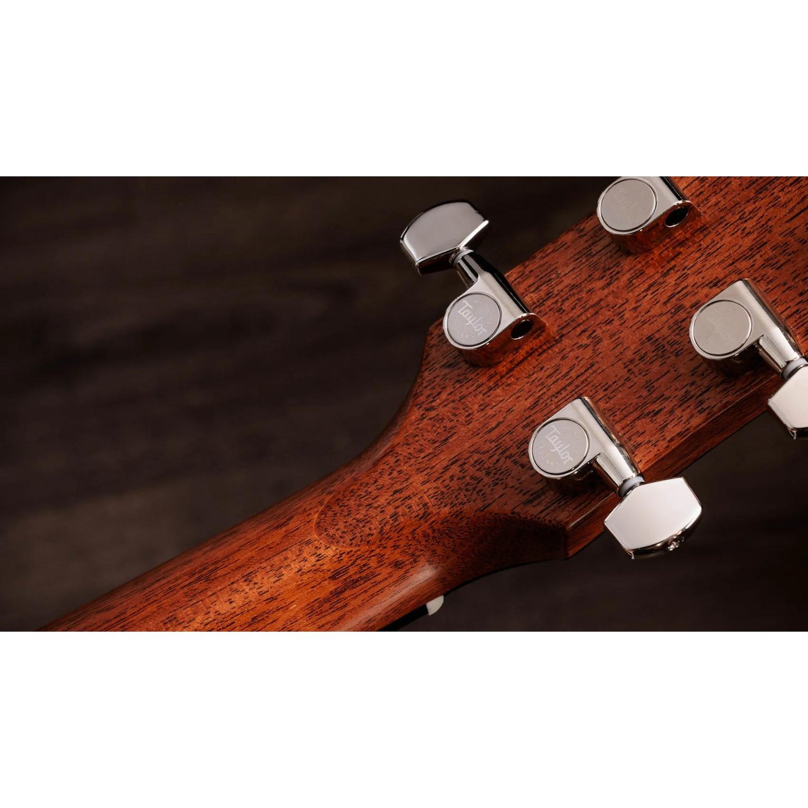 Đàn Guitar Acoustic Taylor Gold Label 717e-Mai Nguyên Music