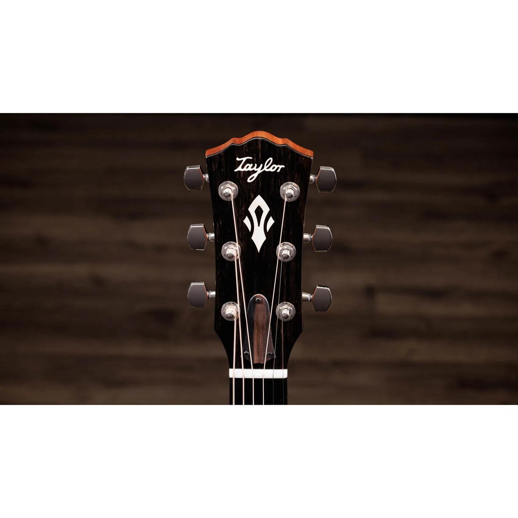 Đàn Guitar Acoustic Taylor Gold Label 717e-Mai Nguyên Music