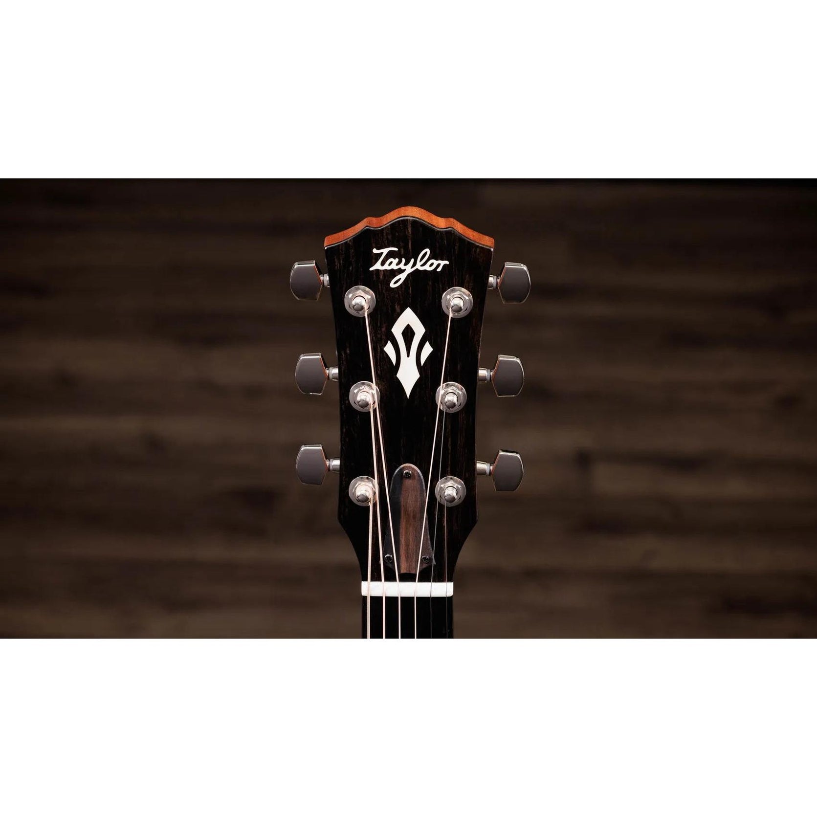 Đàn Guitar Acoustic Taylor Gold Label 717e-Mai Nguyên Music