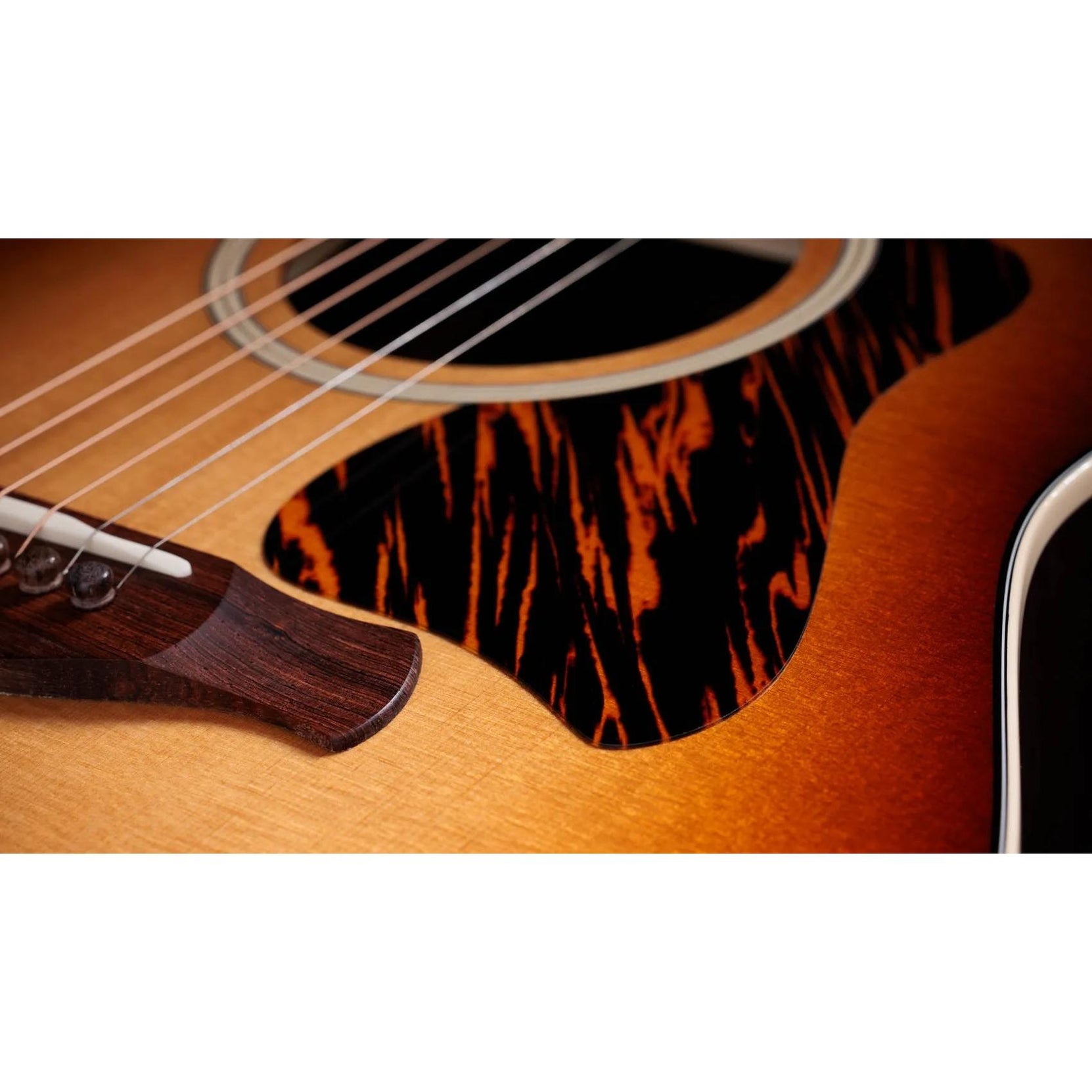 Đàn Guitar Acoustic Taylor Gold Label 717e-Mai Nguyên Music