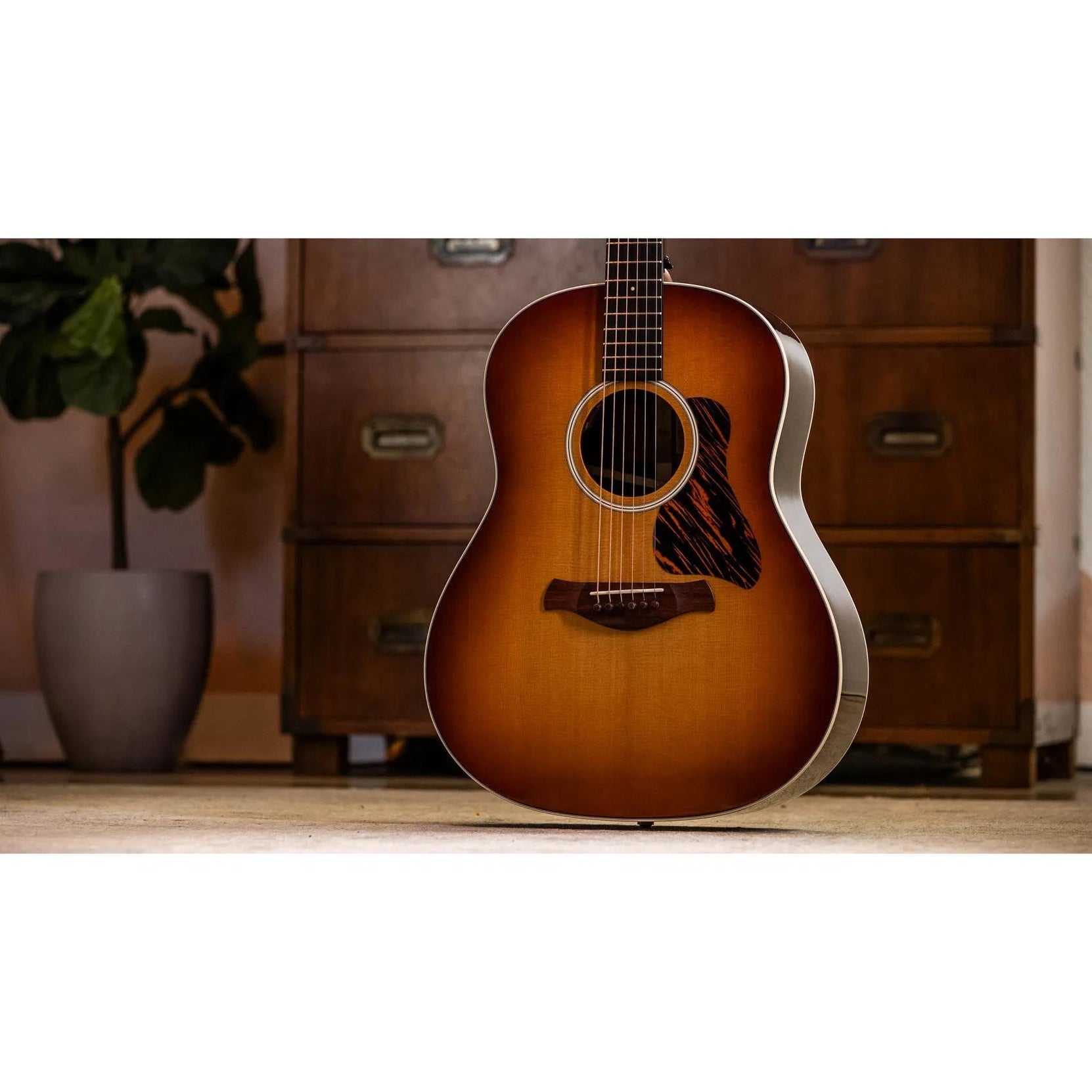 Đàn Guitar Acoustic Taylor Gold Label 717e-Mai Nguyên Music