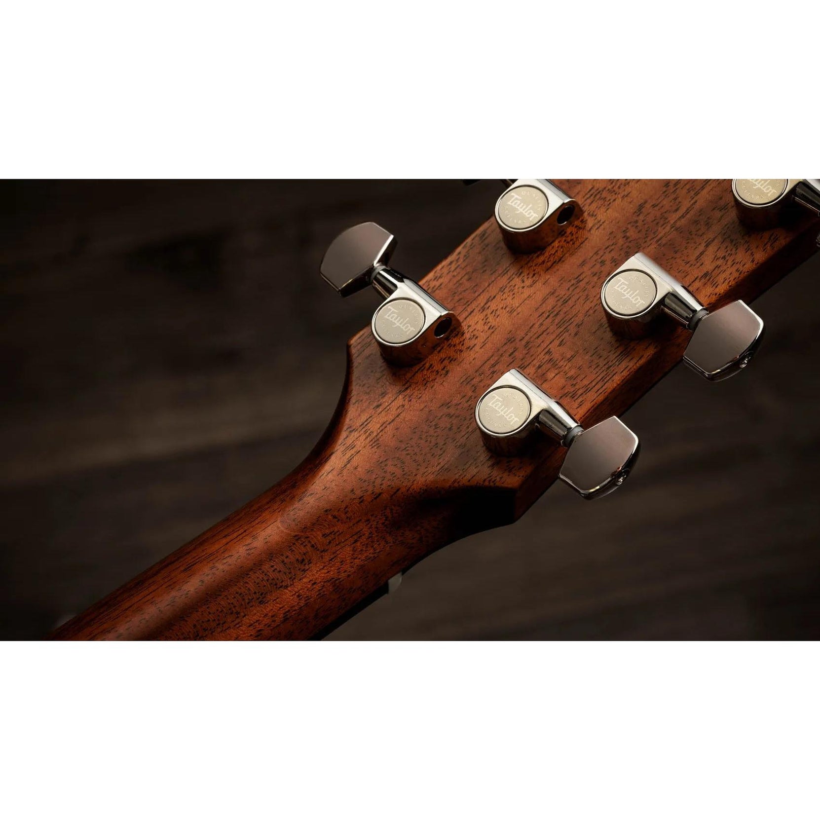 Đàn Guitar Acoustic Taylor Gold Label 717e-Mai Nguyên Music