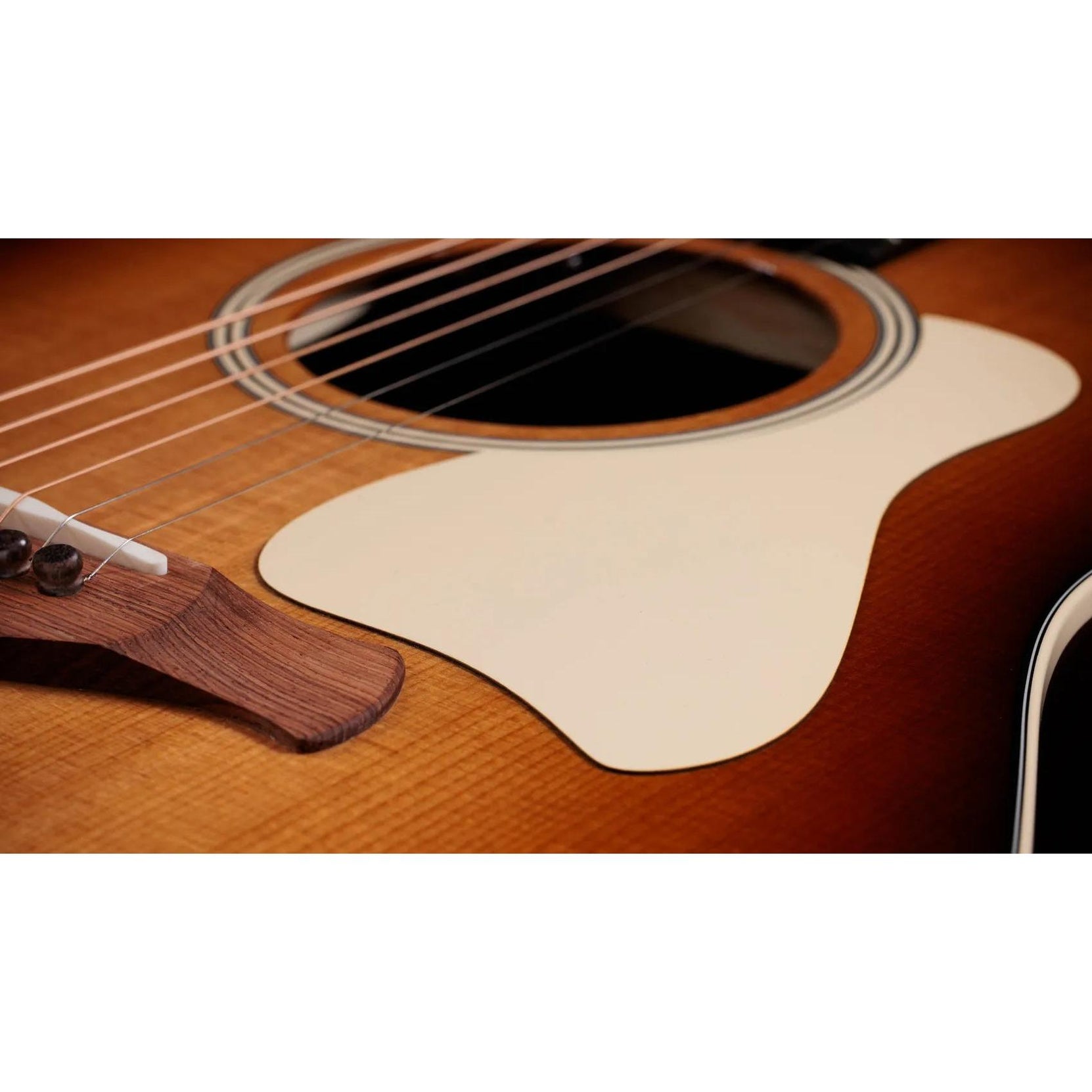 Đàn Guitar Acoustic Taylor Gold Label 717e-Mai Nguyên Music