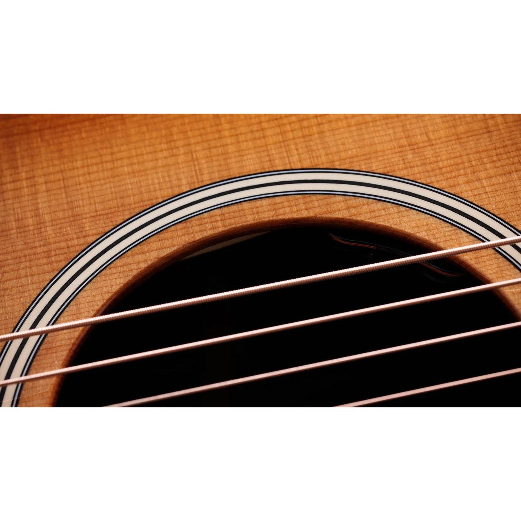 Đàn Guitar Acoustic Taylor Gold Label 717e-Mai Nguyên Music