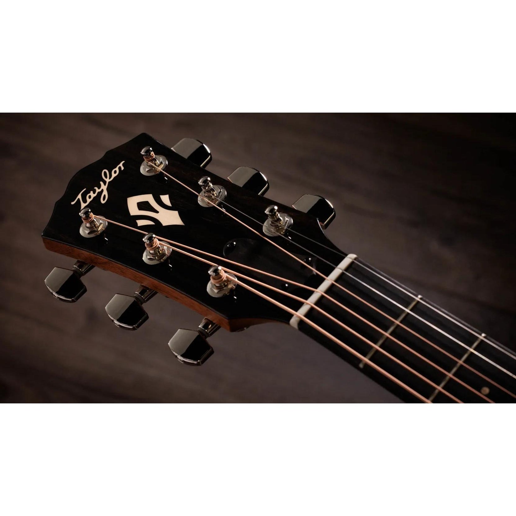 Đàn Guitar Acoustic Taylor Gold Label 717e-Mai Nguyên Music