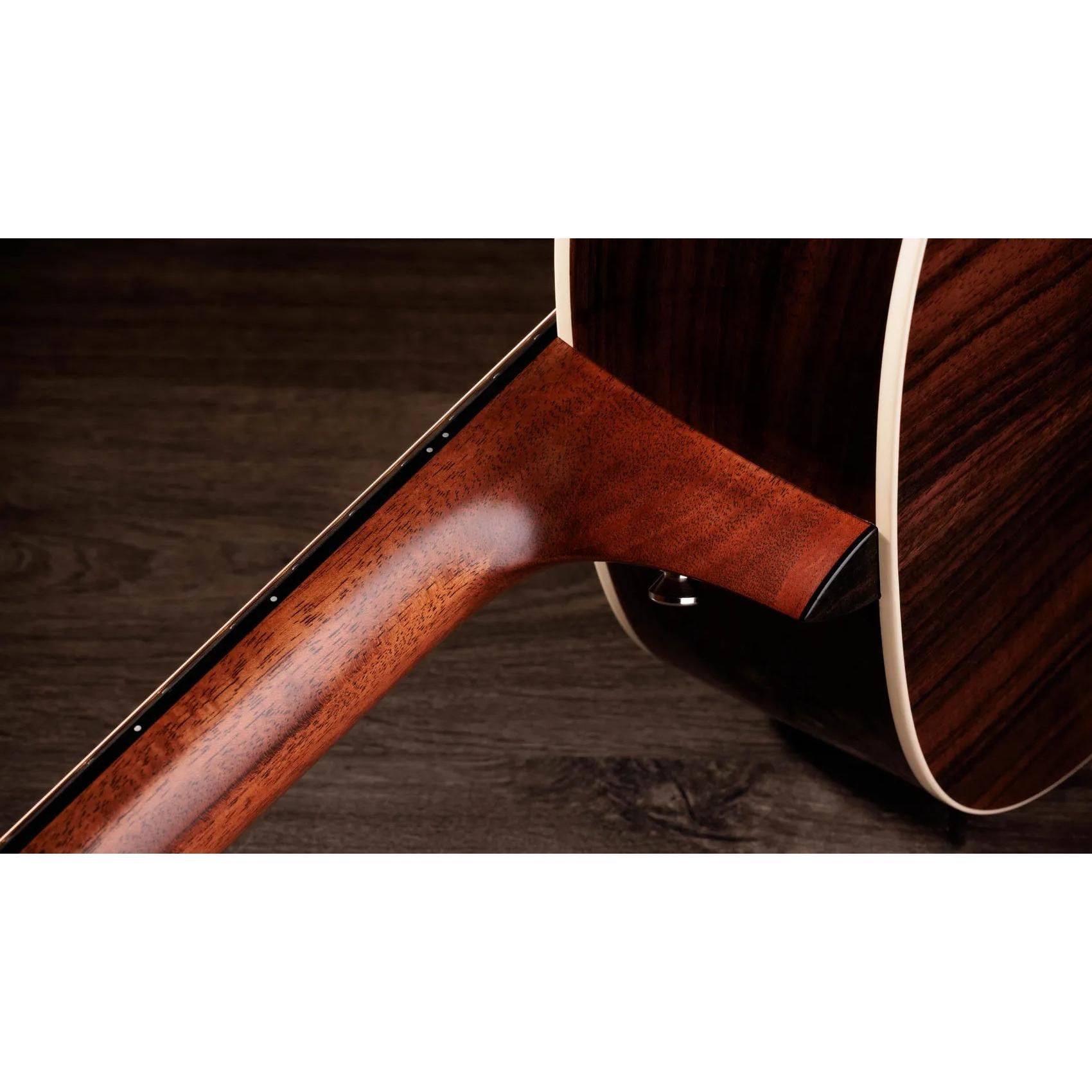 Đàn Guitar Acoustic Taylor Gold Label 717e-Mai Nguyên Music