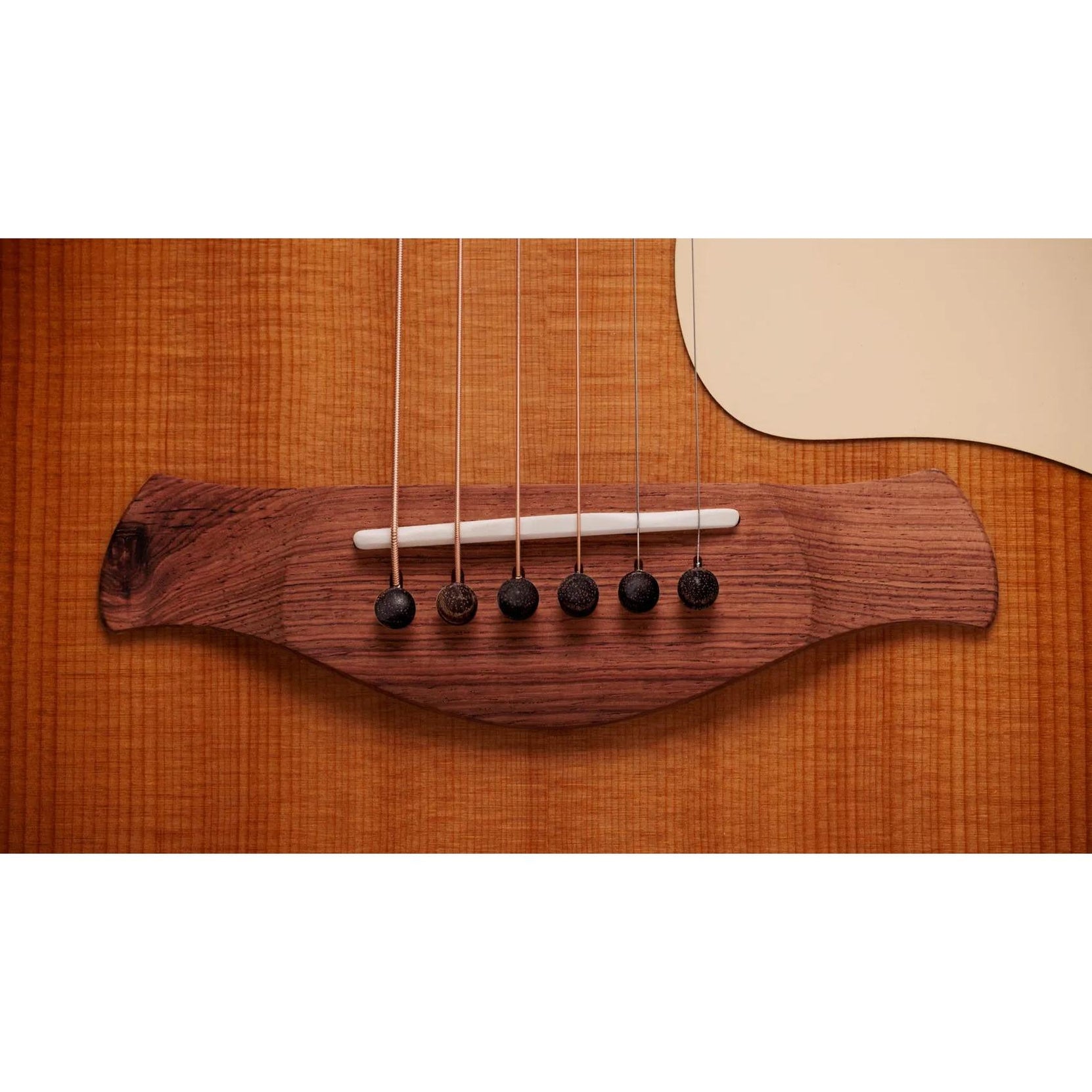 Đàn Guitar Acoustic Taylor Gold Label 717e-Mai Nguyên Music