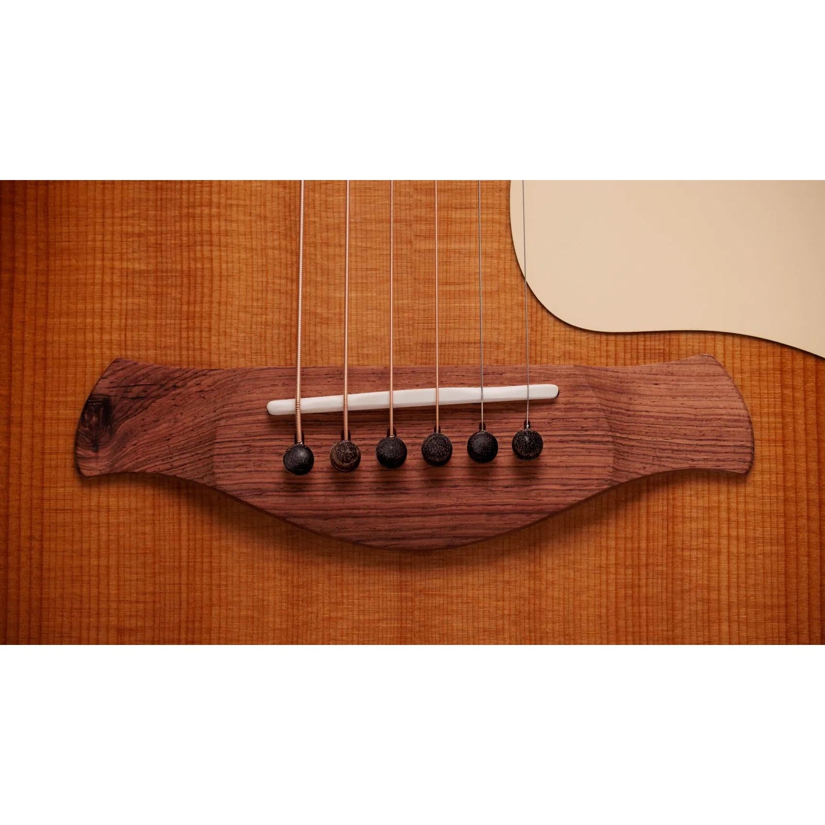 Đàn Guitar Acoustic Taylor Gold Label 717e-Mai Nguyên Music