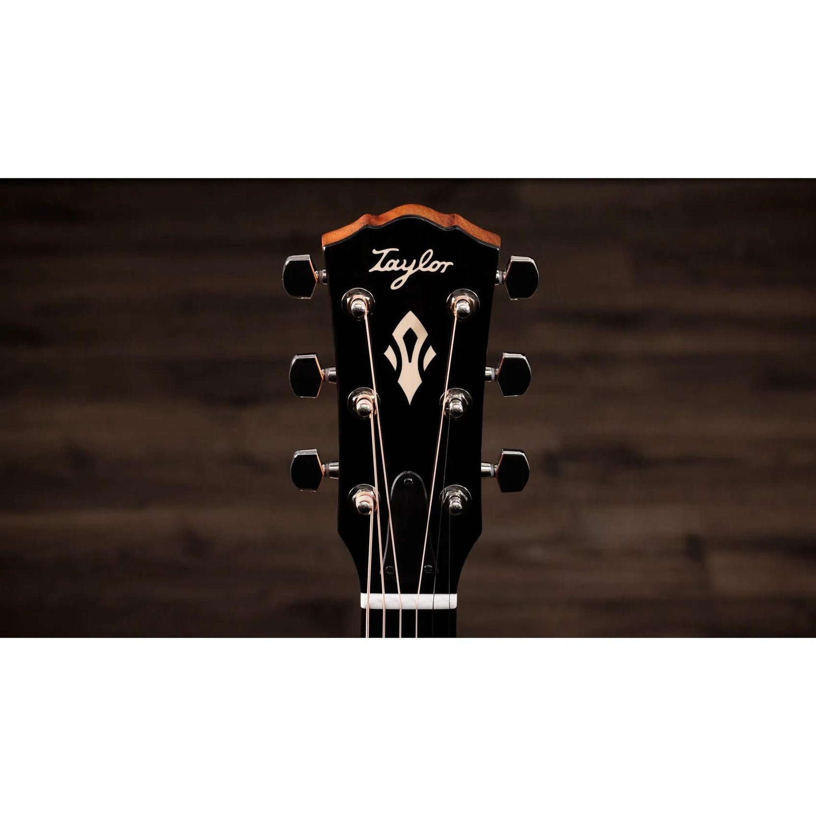 Đàn Guitar Acoustic Taylor Gold Label 717e-Mai Nguyên Music