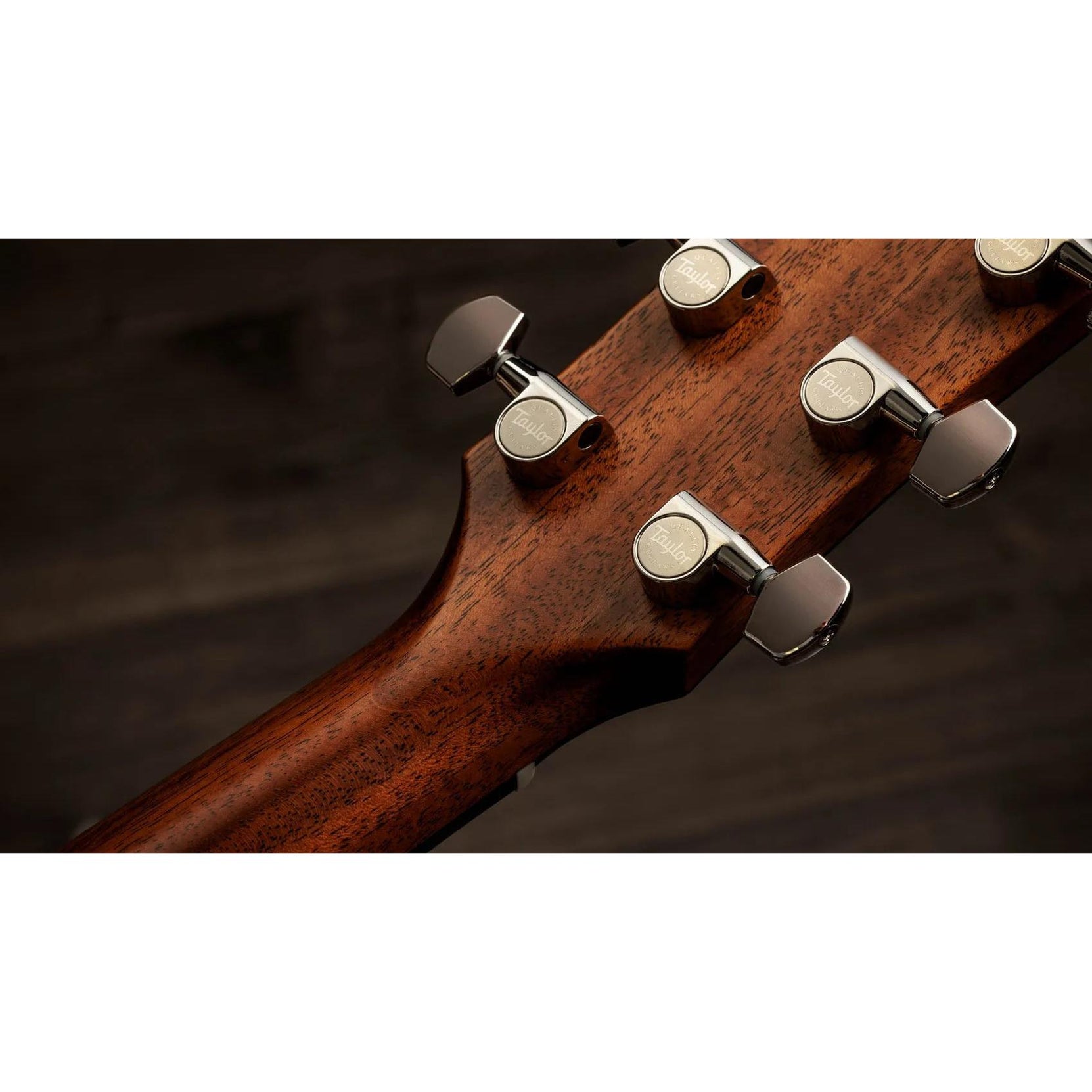 Đàn Guitar Acoustic Taylor Gold Label 717e-Mai Nguyên Music