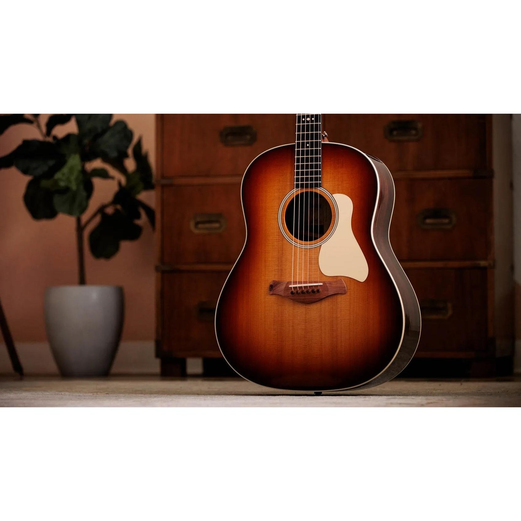 Đàn Guitar Acoustic Taylor Gold Label 717e-Mai Nguyên Music