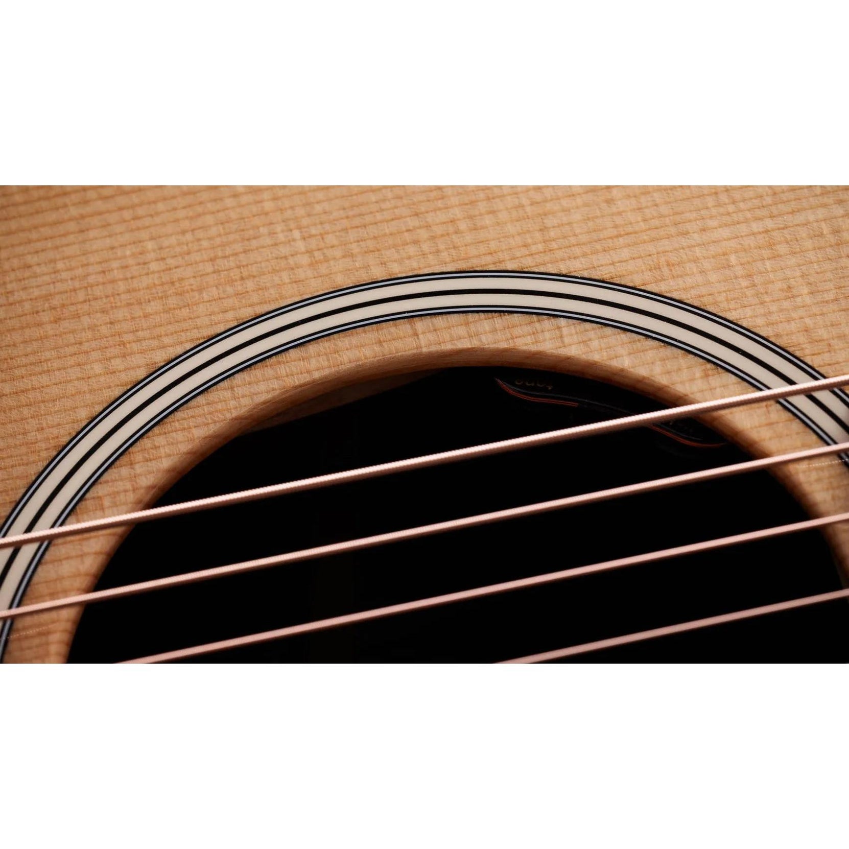 Đàn Guitar Acoustic Taylor Gold Label 717e-Mai Nguyên Music