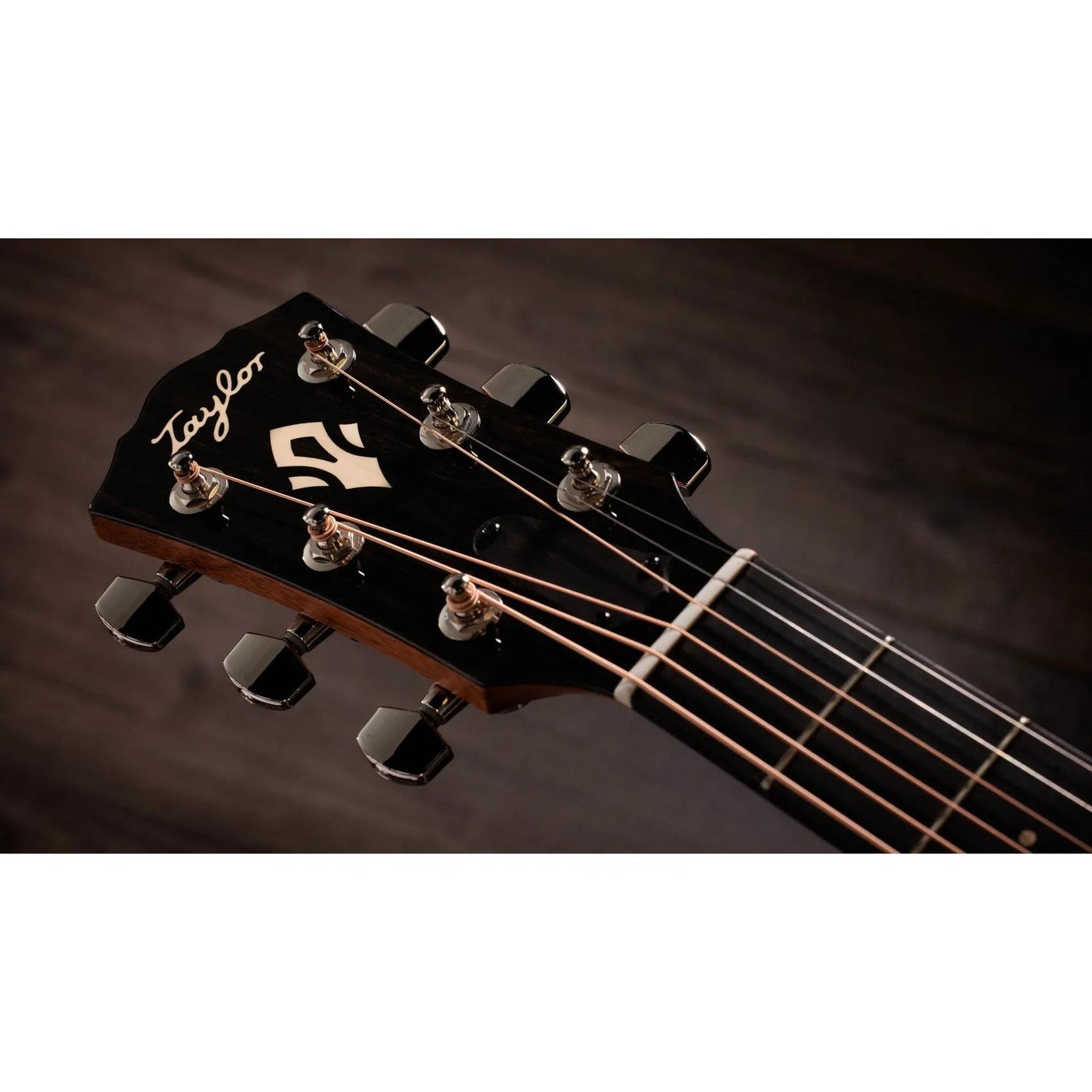 Đàn Guitar Acoustic Taylor Gold Label 717e-Mai Nguyên Music