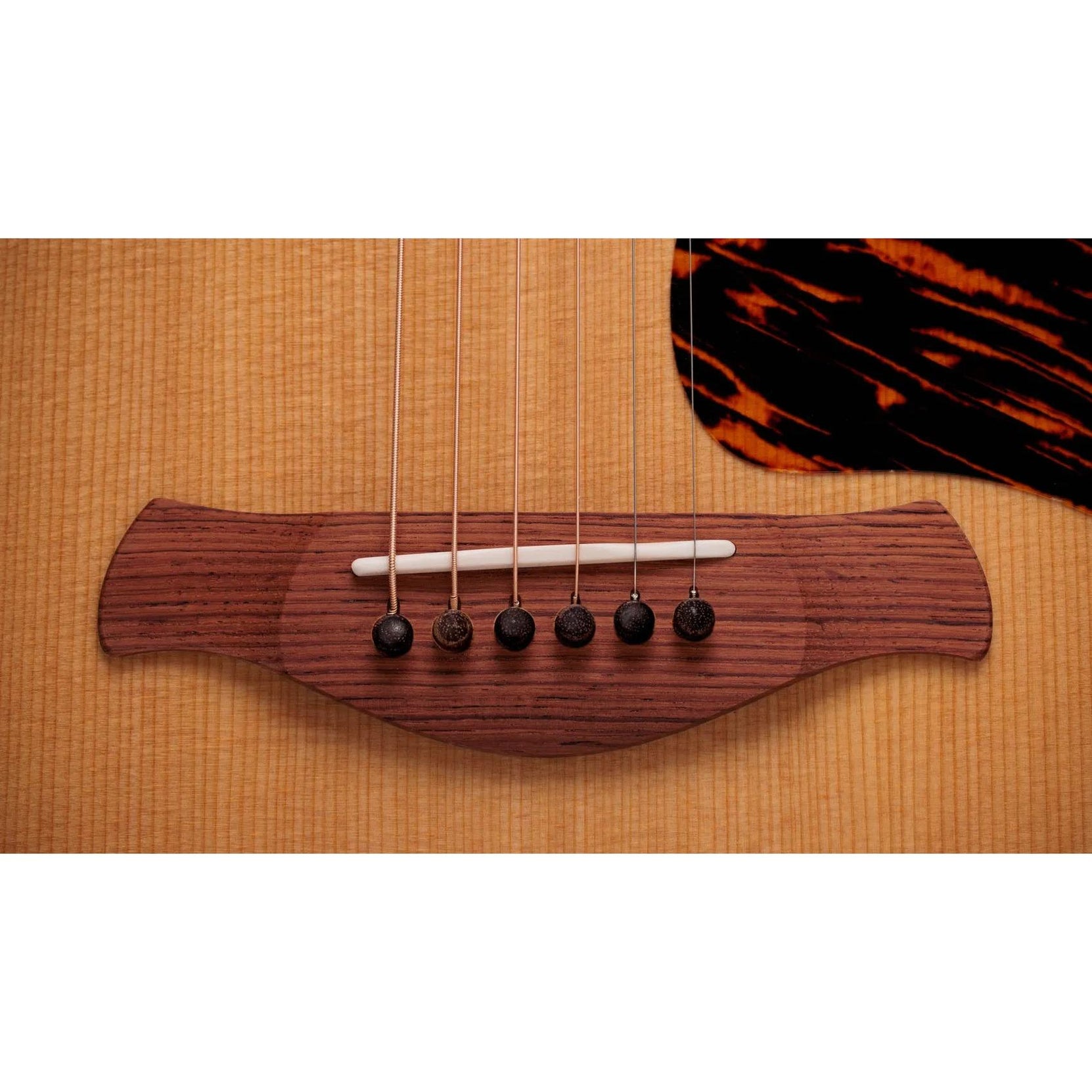 Đàn Guitar Acoustic Taylor Gold Label 717e-Mai Nguyên Music