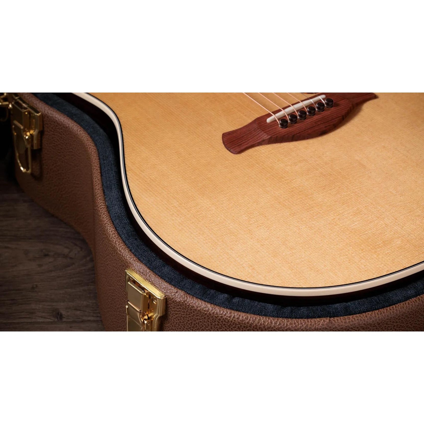 Đàn Guitar Acoustic Taylor Gold Label 717e-Mai Nguyên Music