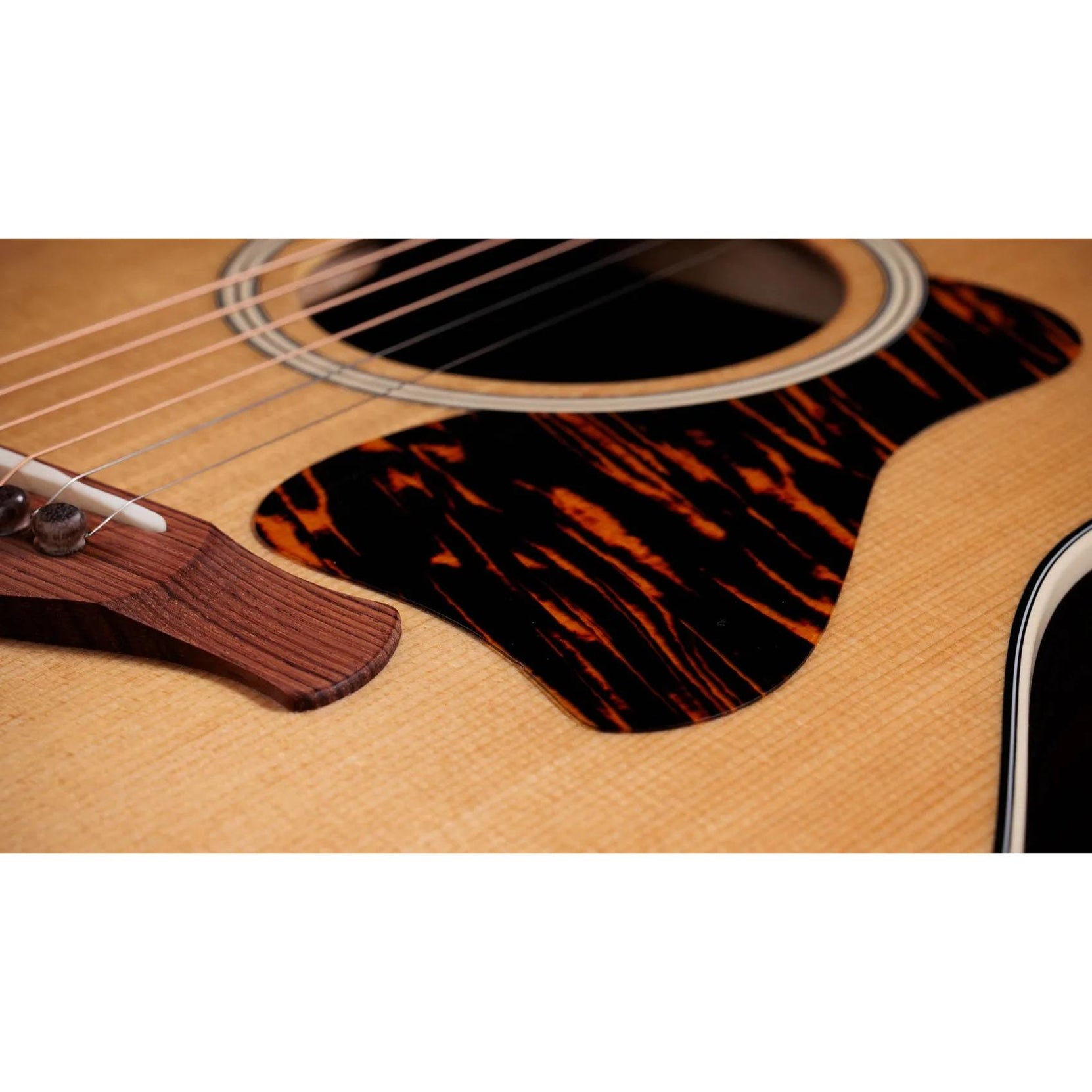 Đàn Guitar Acoustic Taylor Gold Label 717e-Mai Nguyên Music