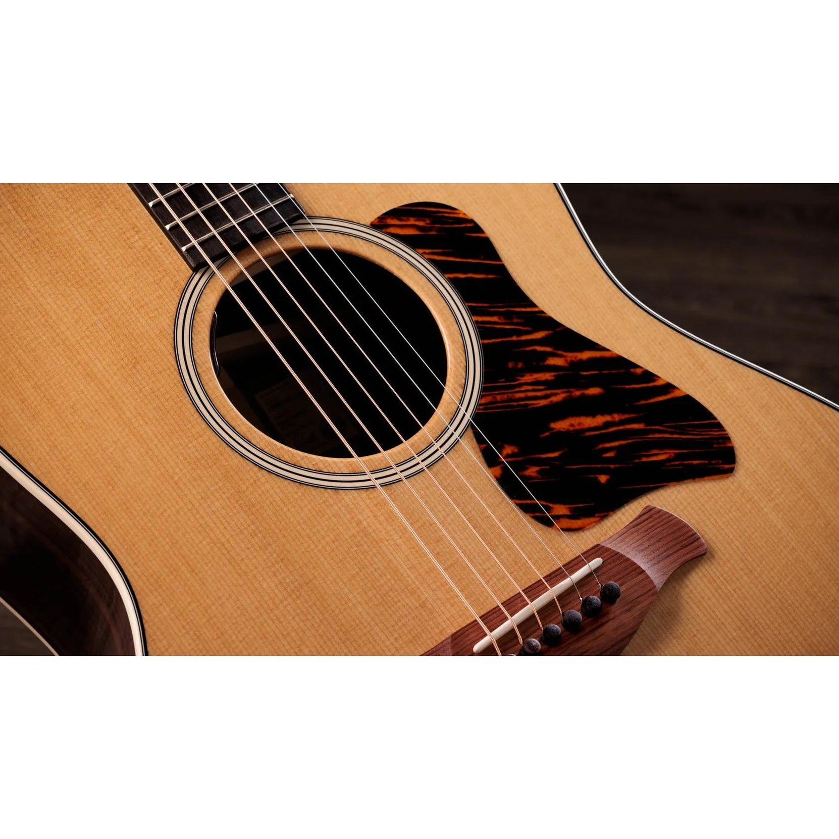 Đàn Guitar Acoustic Taylor Gold Label 717e-Mai Nguyên Music