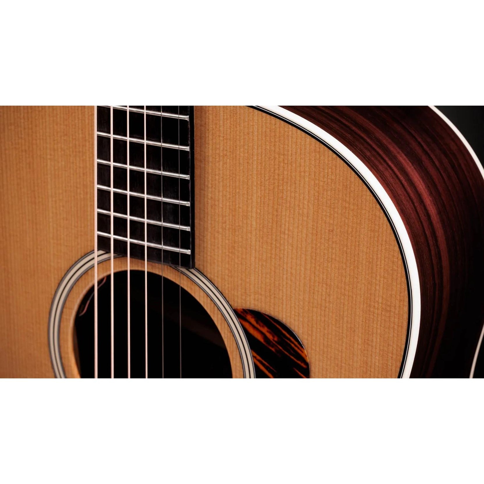 Đàn Guitar Acoustic Taylor Gold Label 717e-Mai Nguyên Music