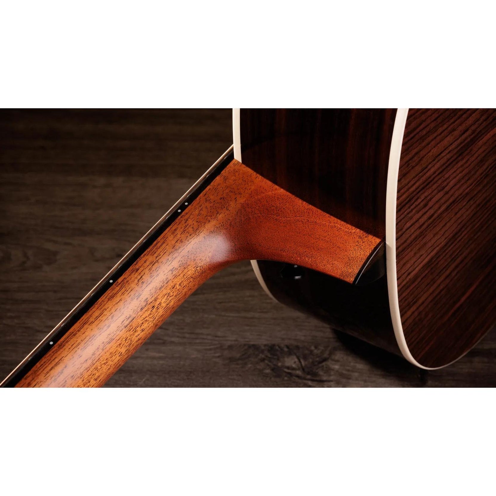Đàn Guitar Acoustic Taylor Gold Label 717e-Mai Nguyên Music