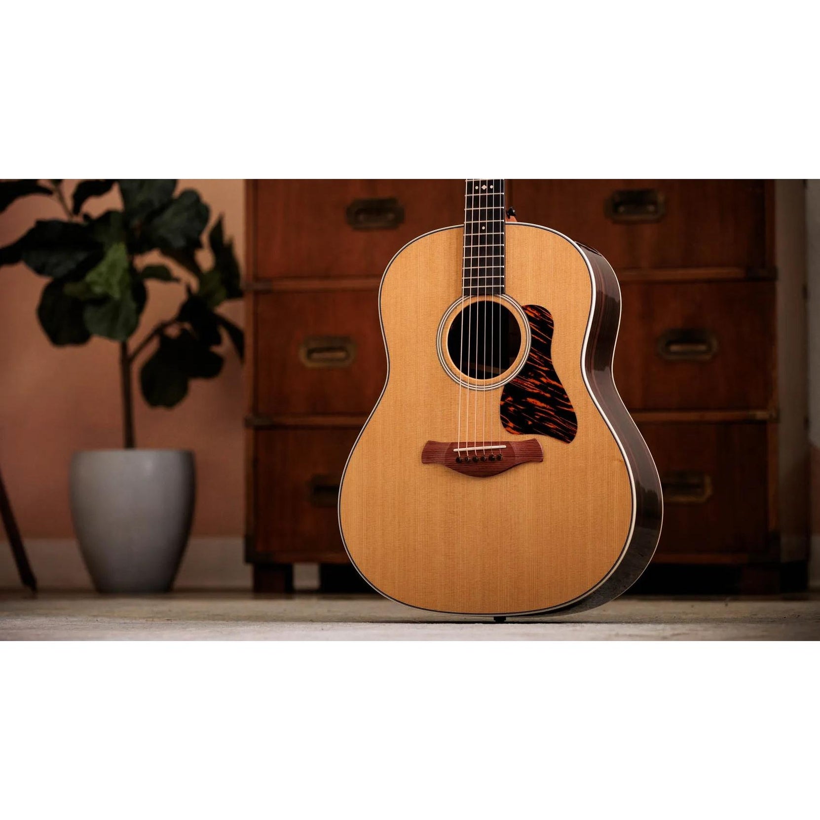 Đàn Guitar Acoustic Taylor Gold Label 717e-Mai Nguyên Music