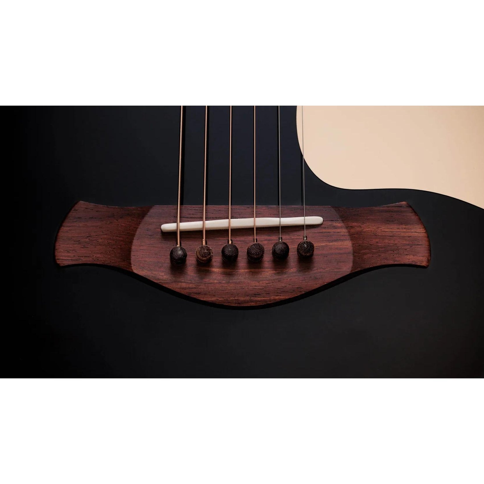 Đàn Guitar Acoustic Taylor Gold Label 717e-Mai Nguyên Music