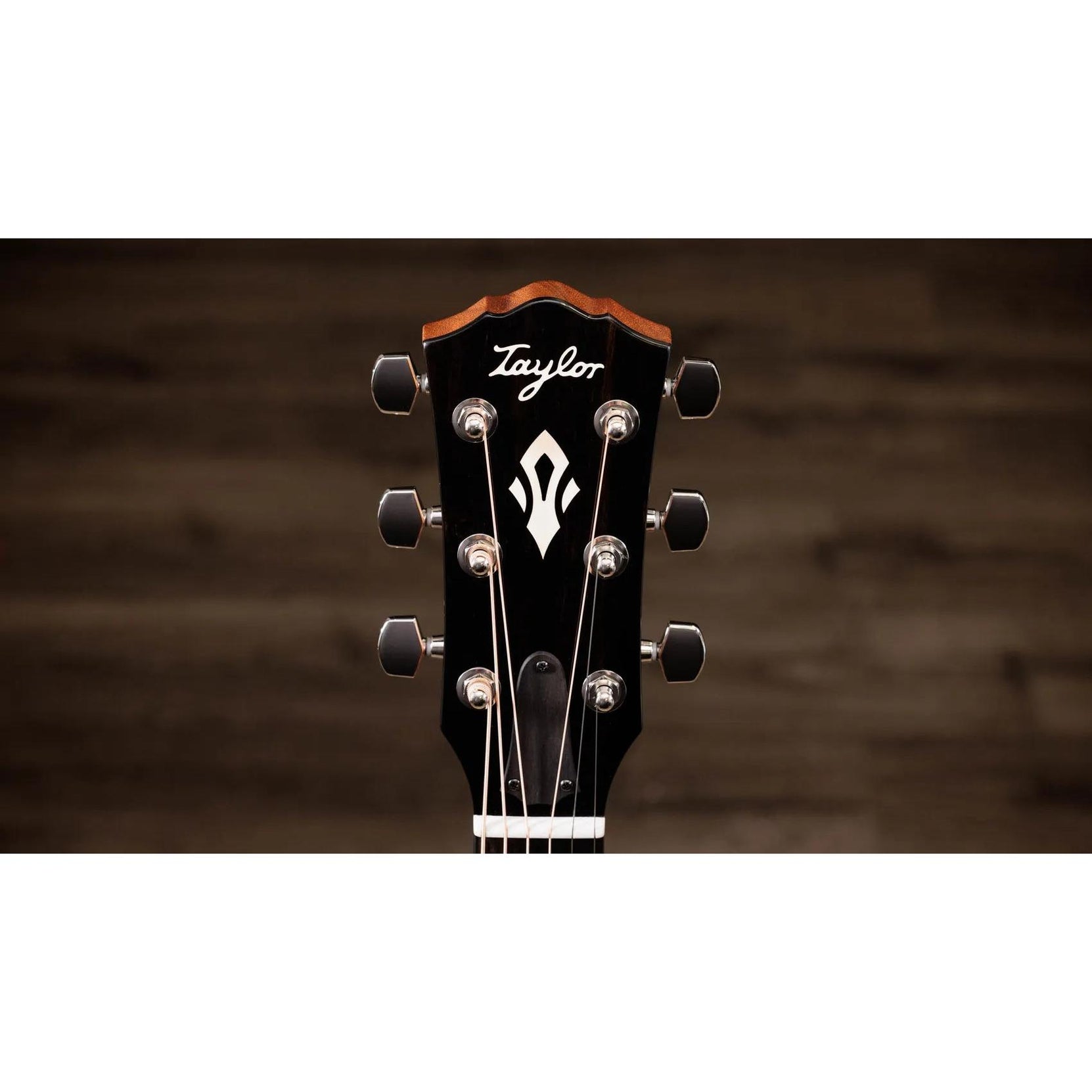 Đàn Guitar Acoustic Taylor Gold Label 717e-Mai Nguyên Music