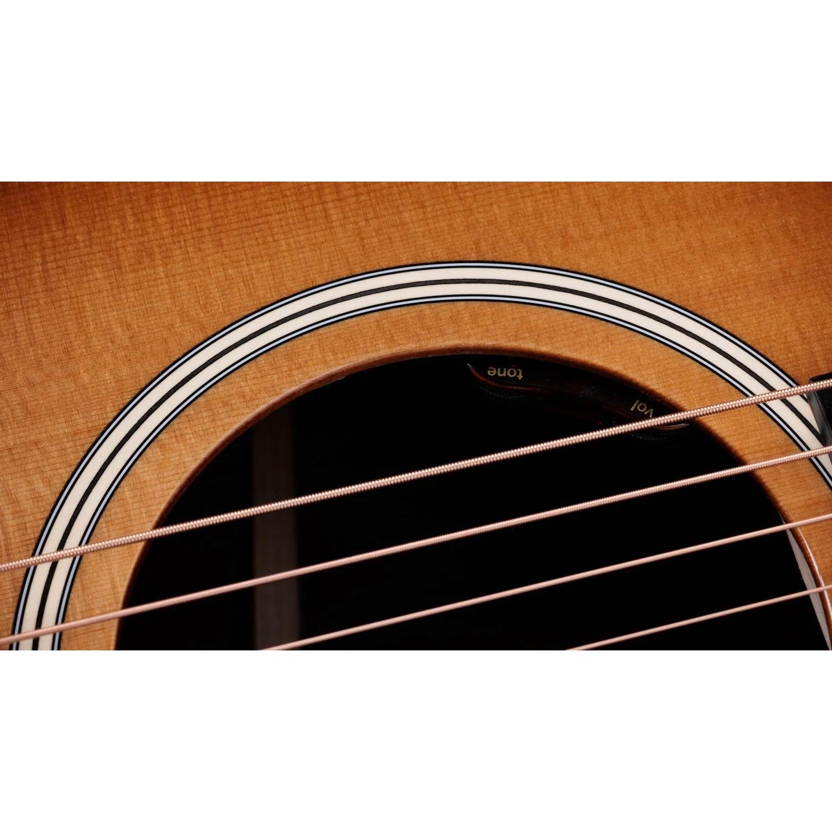 Đàn Guitar Acoustic Taylor Gold Label 717e-Mai Nguyên Music