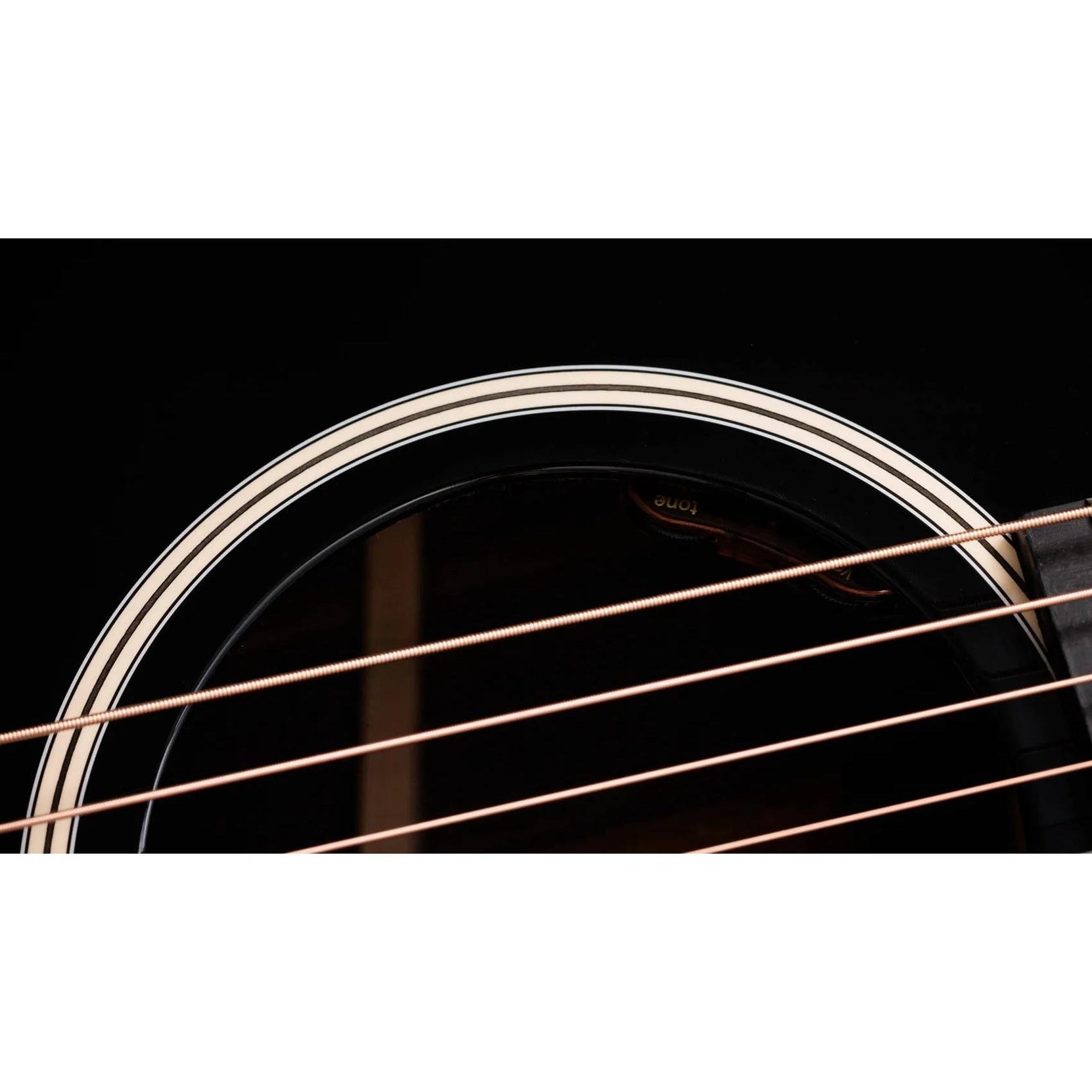 Đàn Guitar Acoustic Taylor Gold Label 717e-Mai Nguyên Music