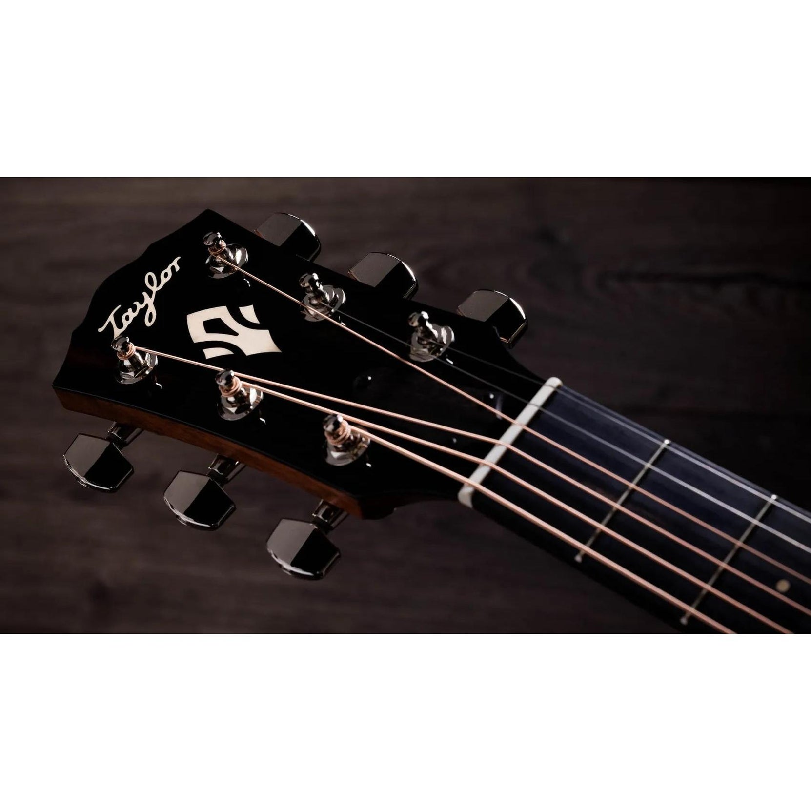 Đàn Guitar Acoustic Taylor Gold Label 717e-Mai Nguyên Music
