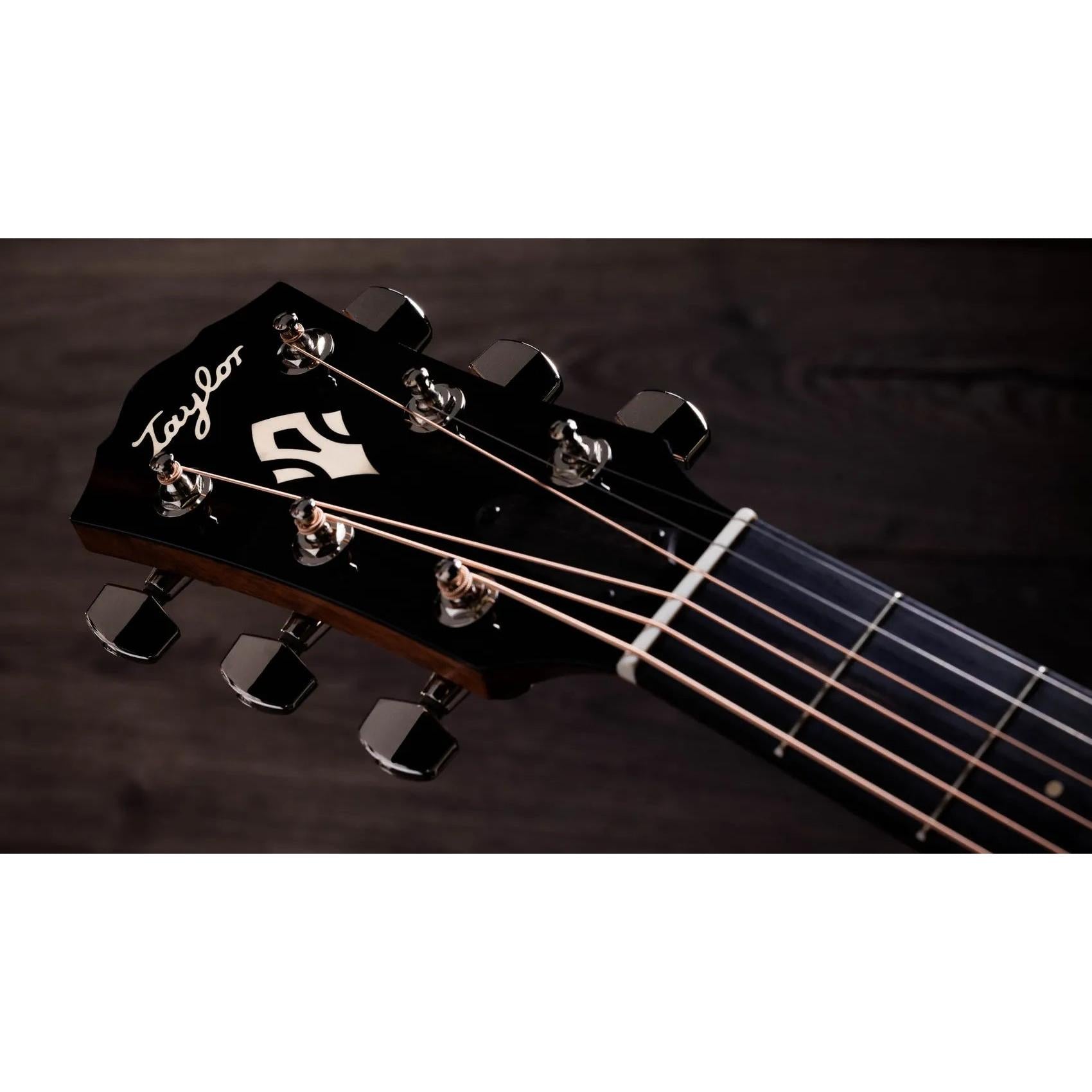 Đàn Guitar Acoustic Taylor Gold Label 717e-Mai Nguyên Music