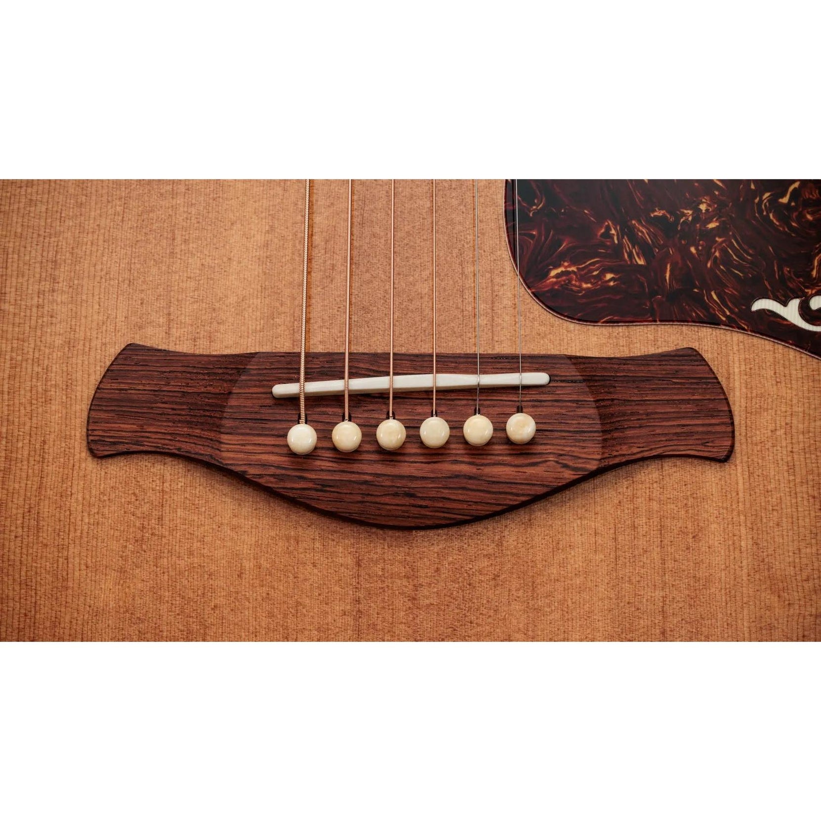 Đàn Guitar Acoustic Taylor Gold Label 810e - Natural-Mai Nguyên Music