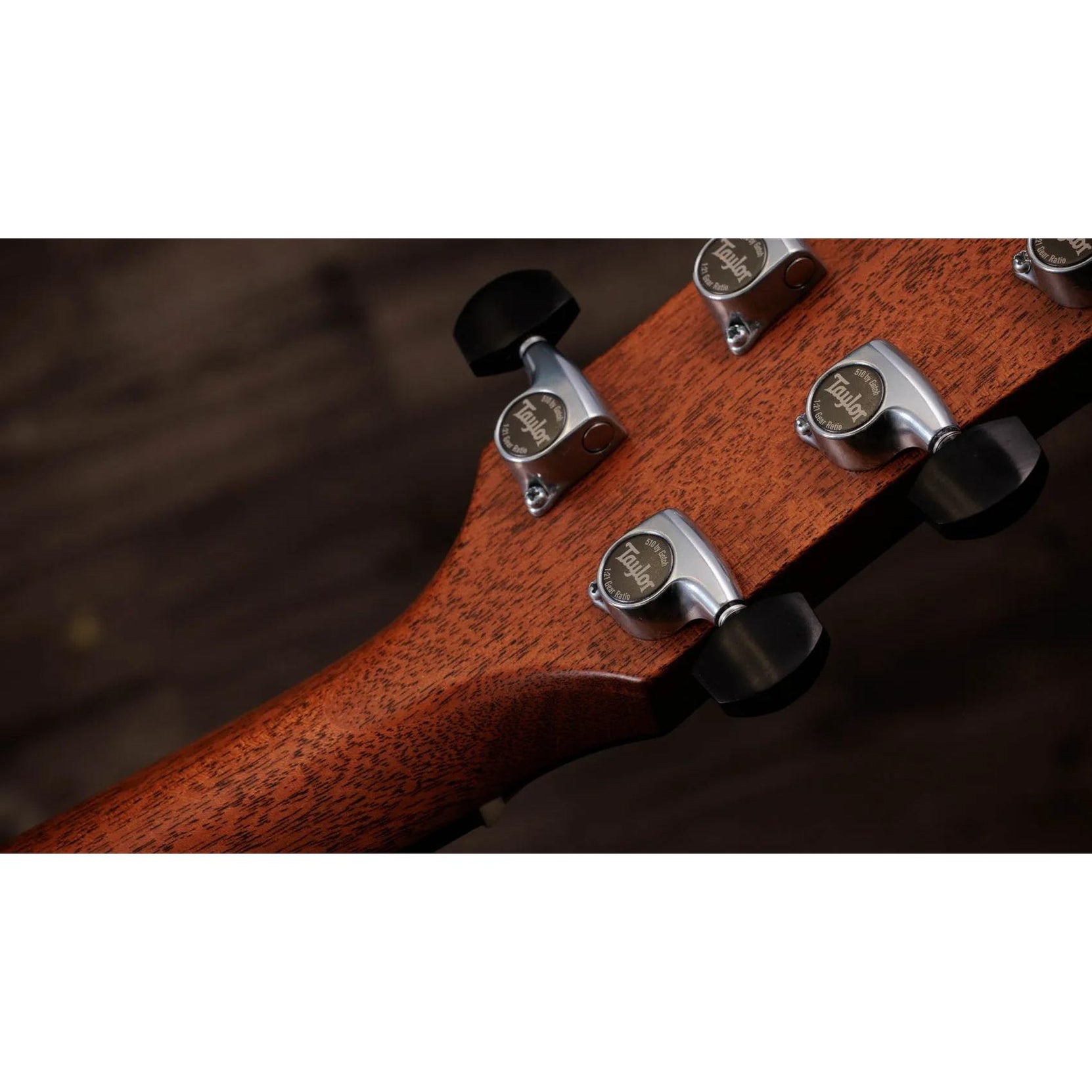 Đàn Guitar Acoustic Taylor Gold Label 810e - Natural-Mai Nguyên Music